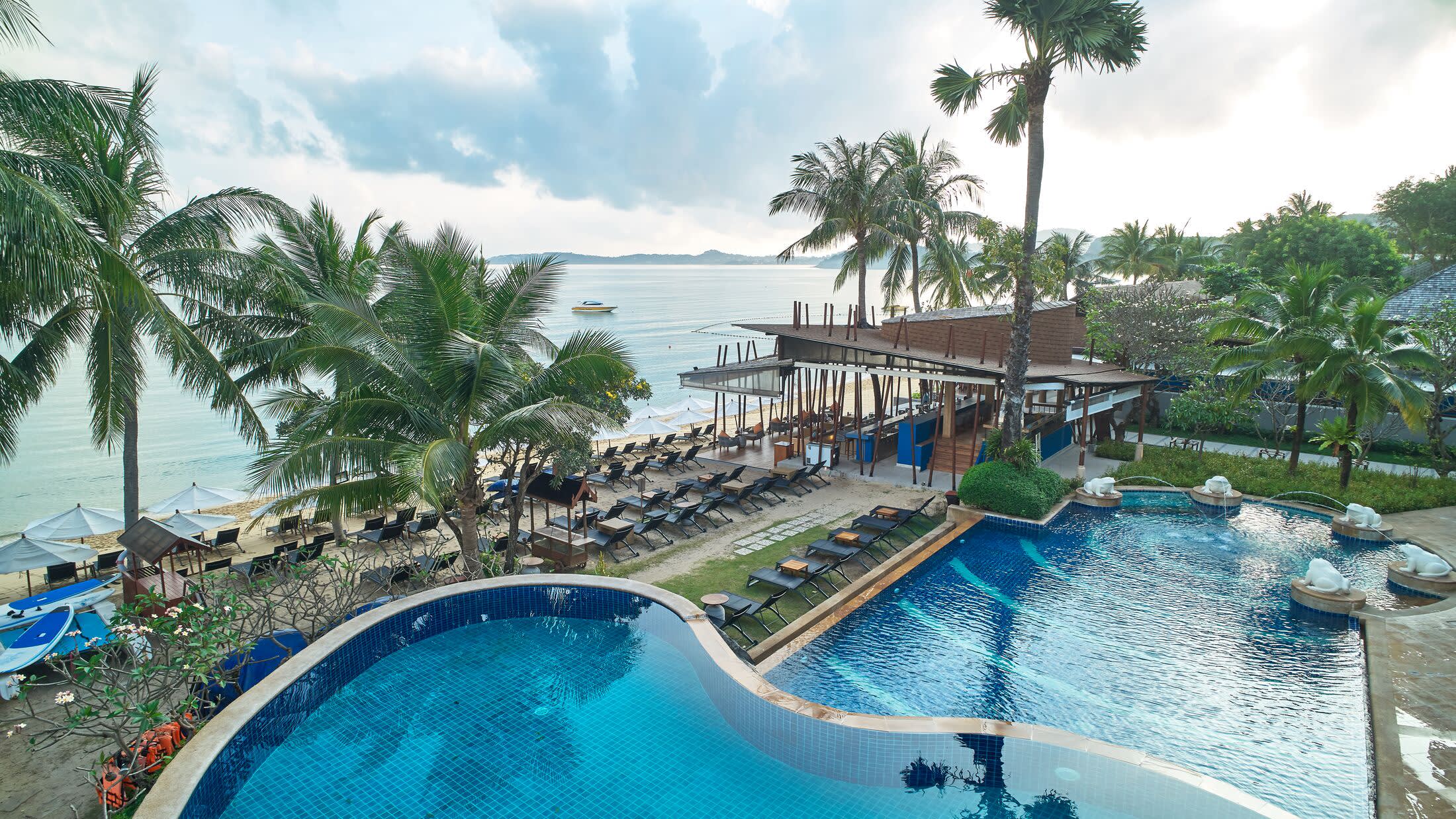 a group of palm trees next to a pool of water