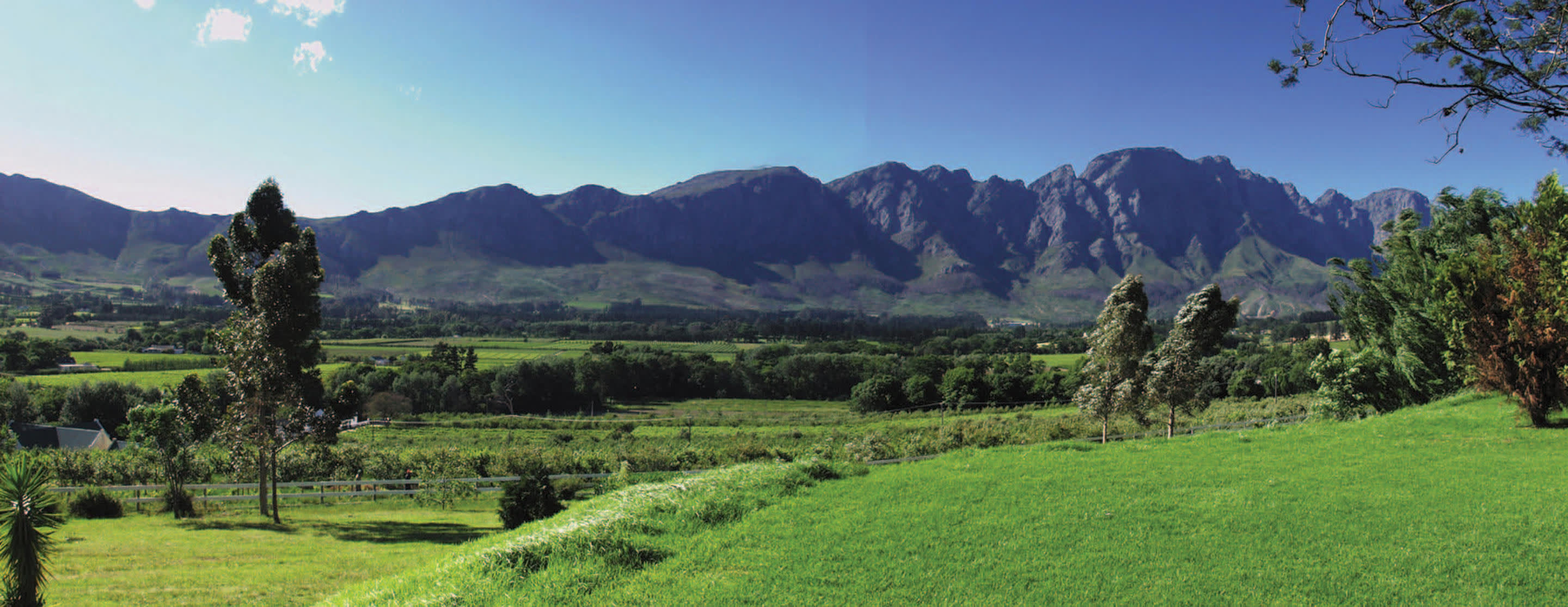 Cape Winelands