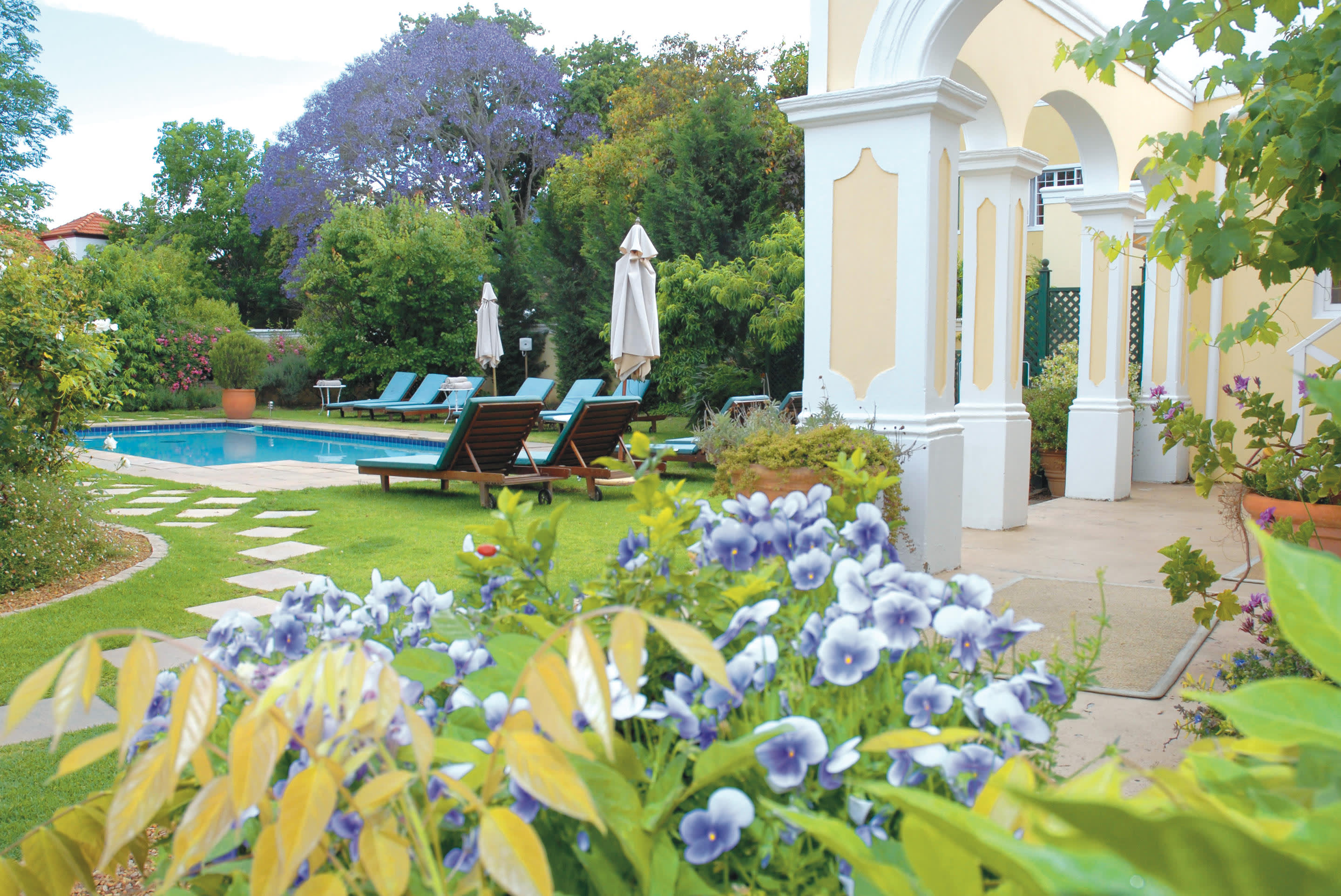 a close up of a flower garden