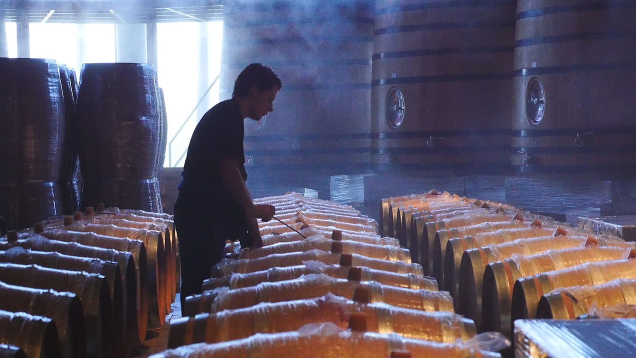 Chile Calchagua Winery