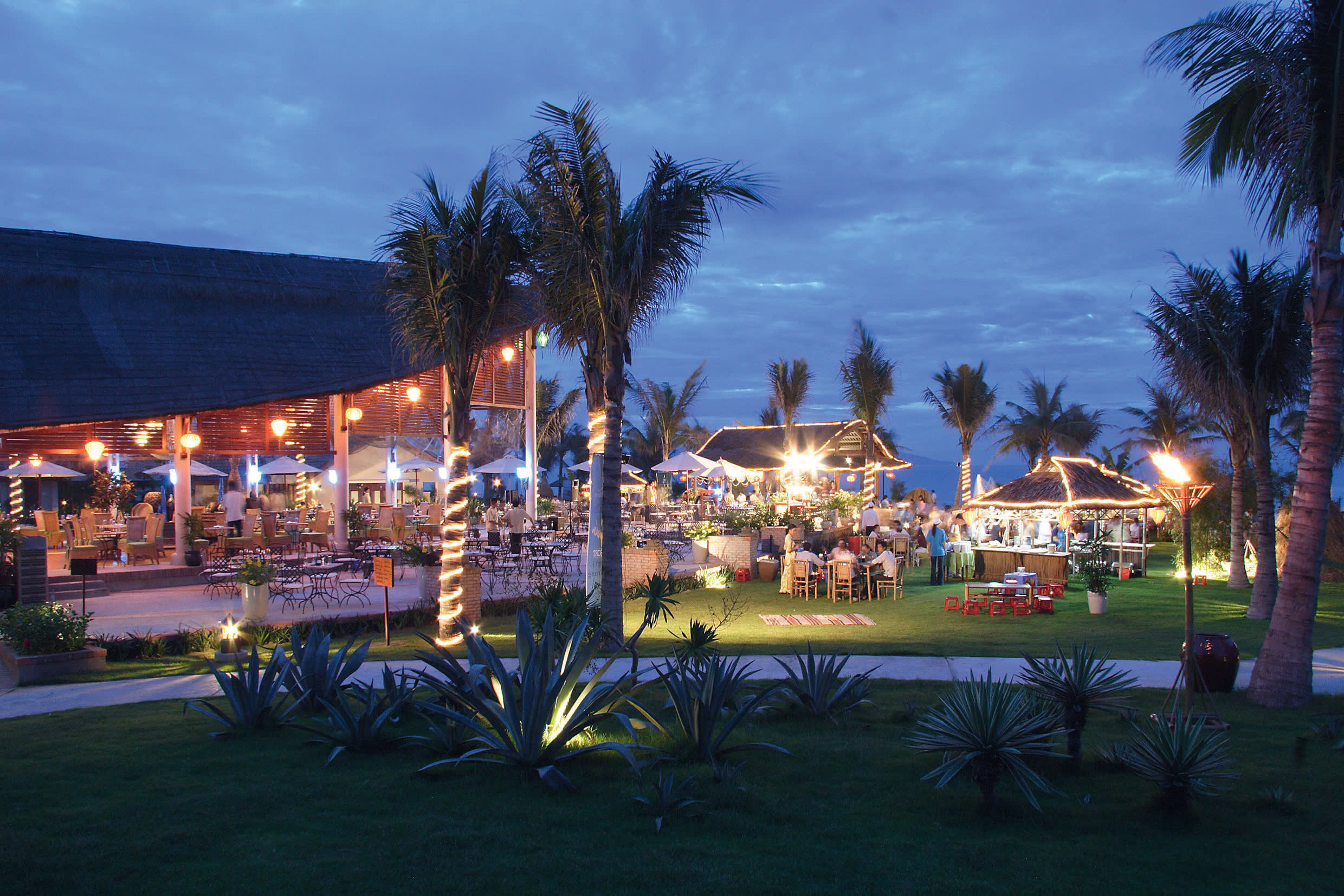 a group of palm trees with a building in the background