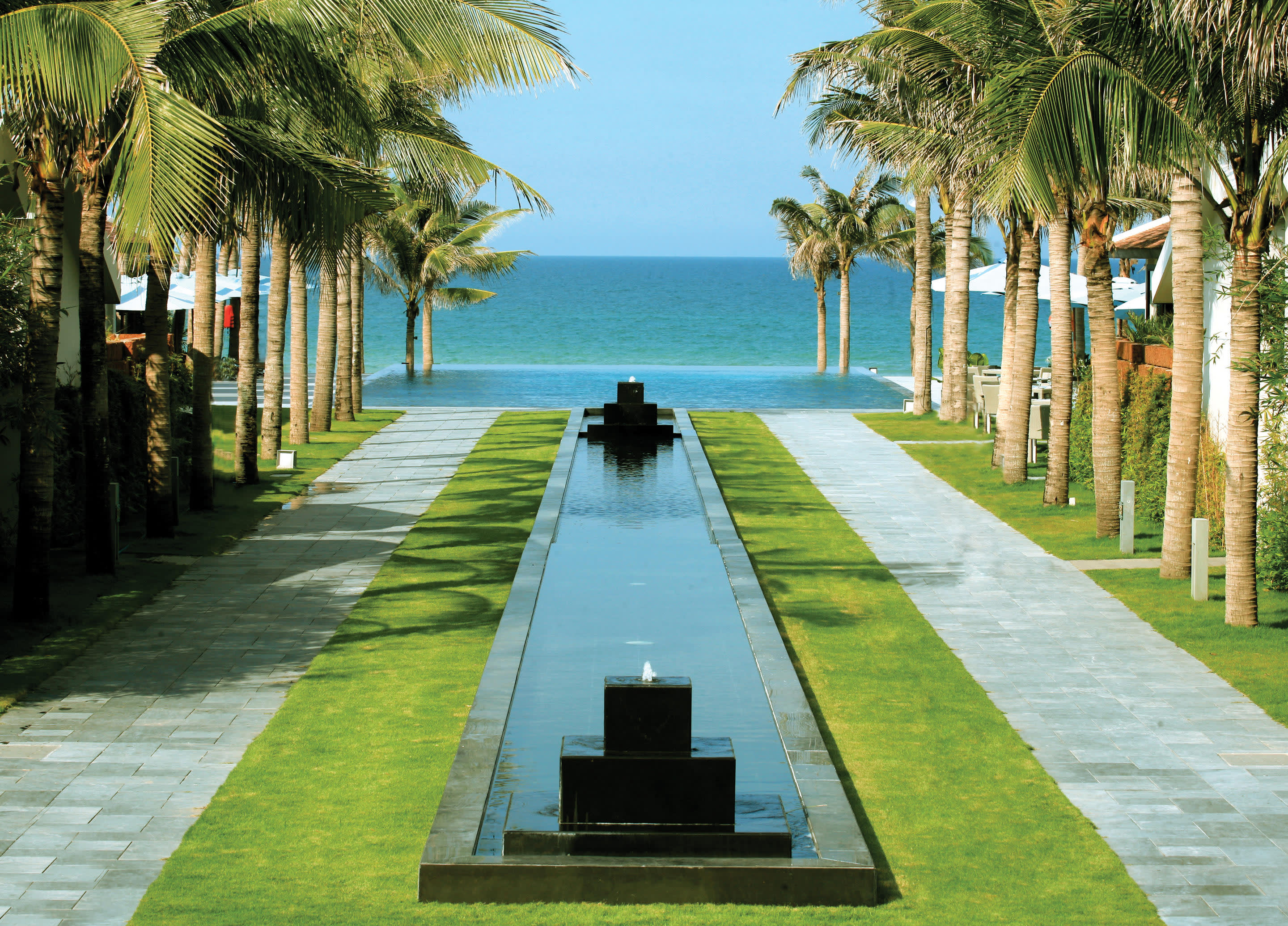 a palm tree on a sidewalk next to a body of water