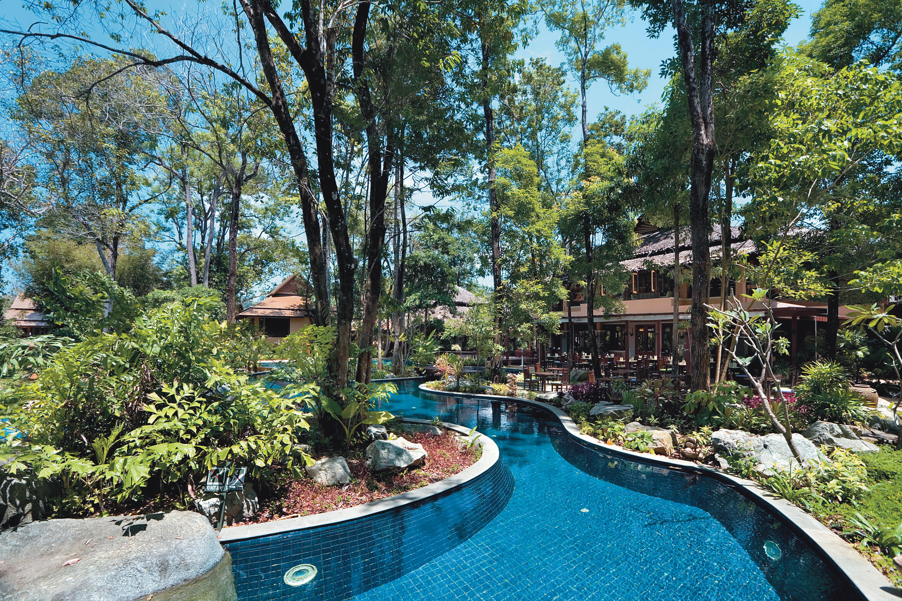 a pool next to a tree