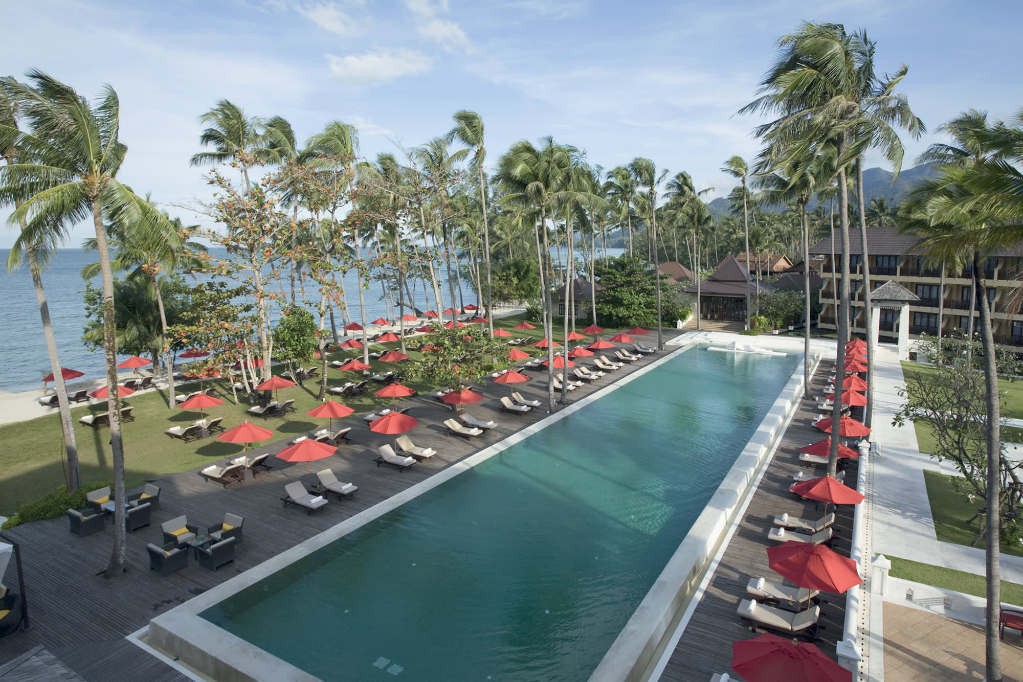 a group of palm trees next to a pool of water