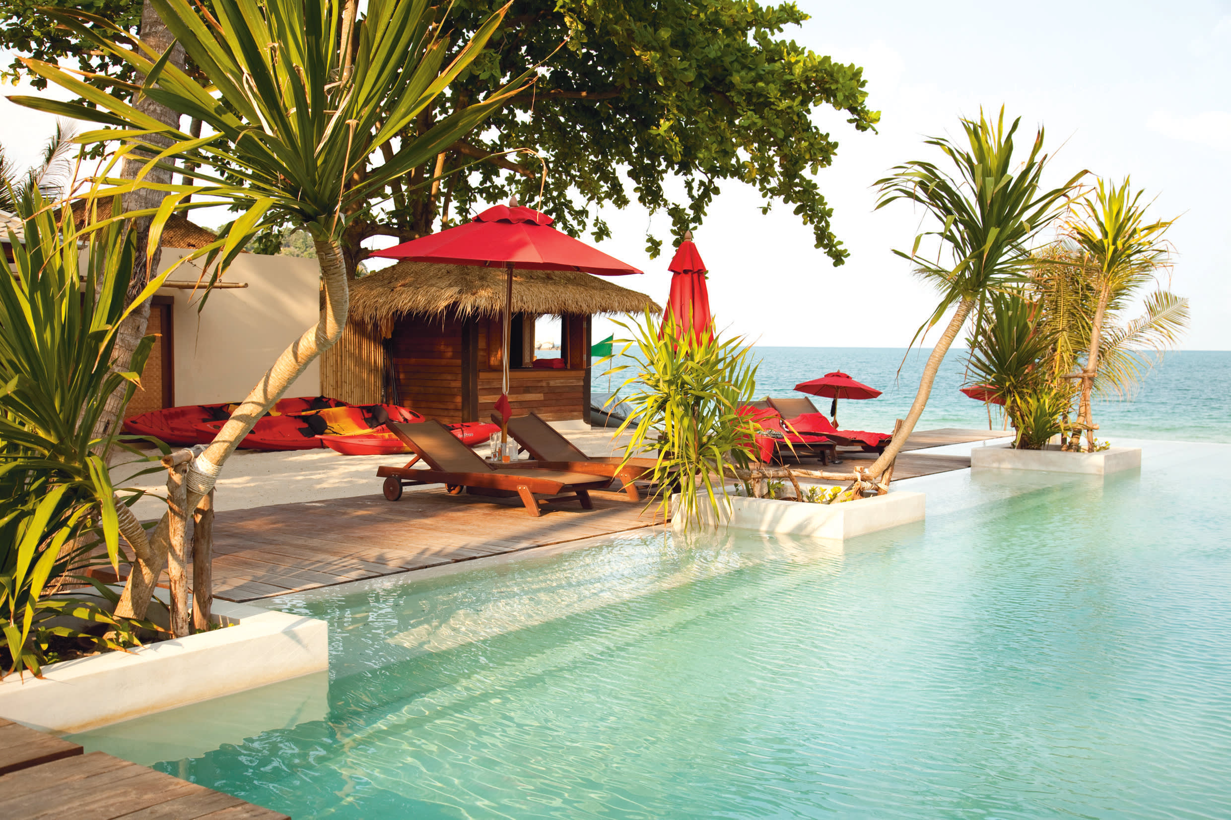 a group of palm trees next to a pool of water