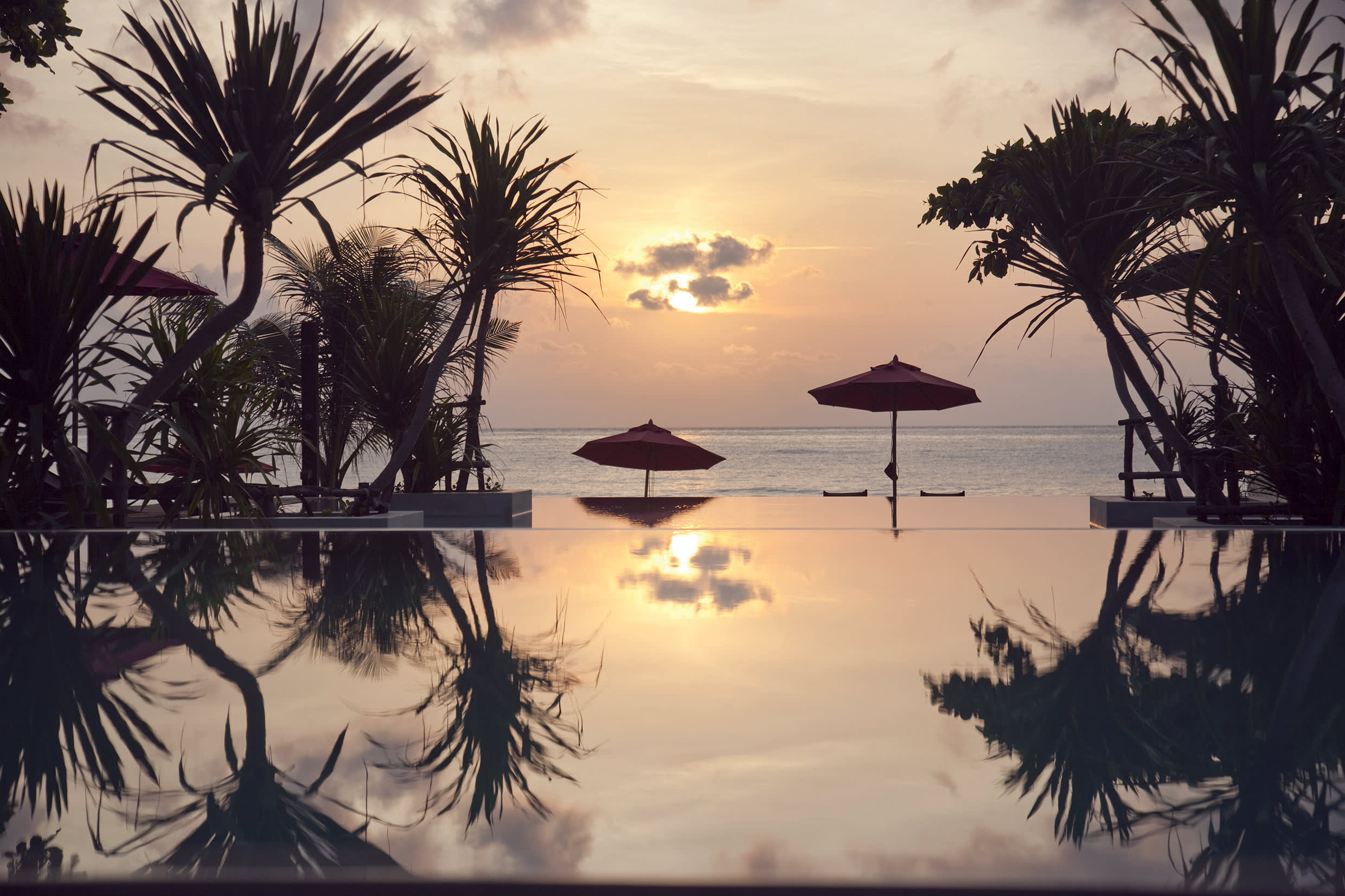 a sunset over a body of water next to a palm tree