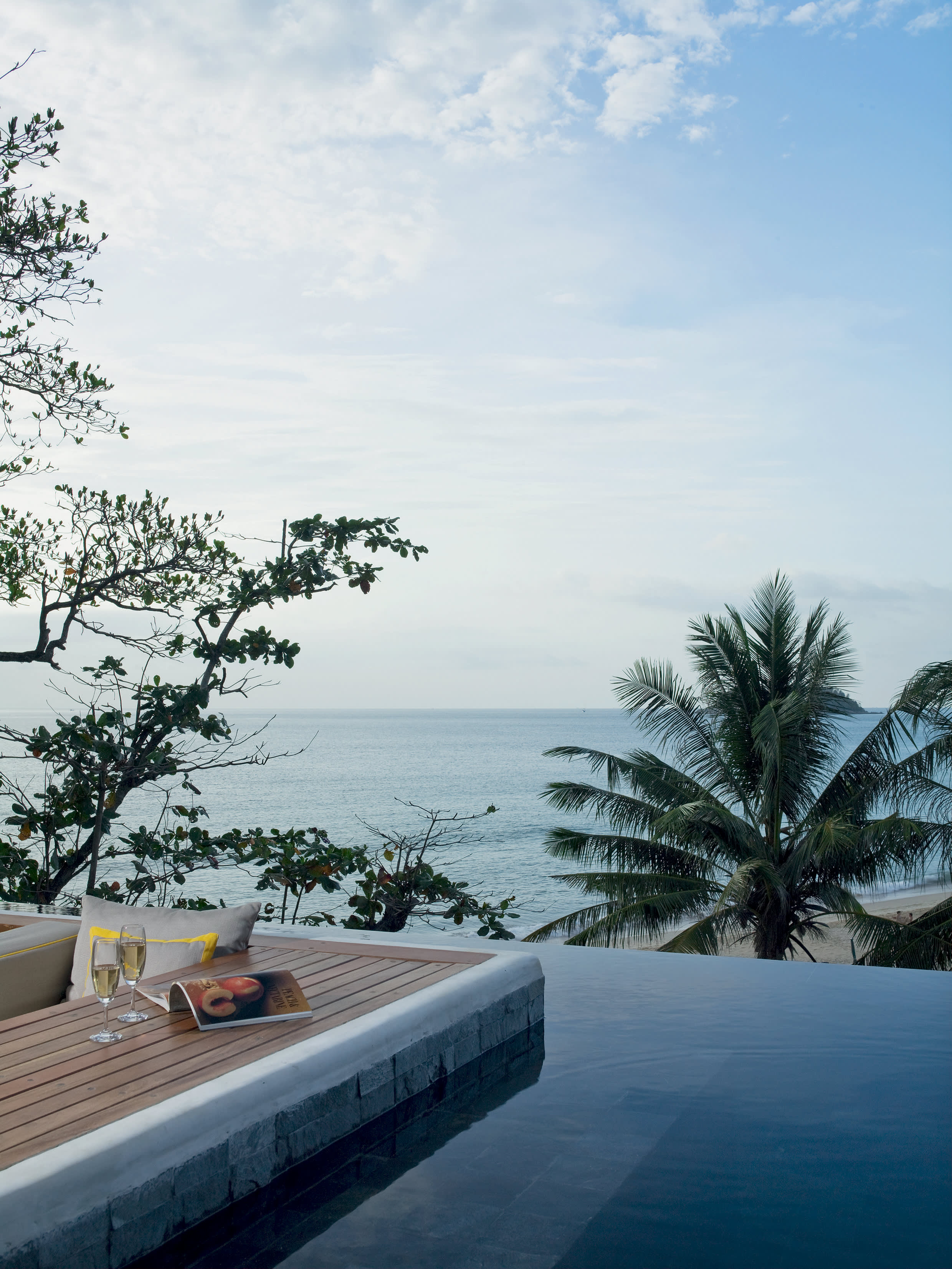 water next to a tree