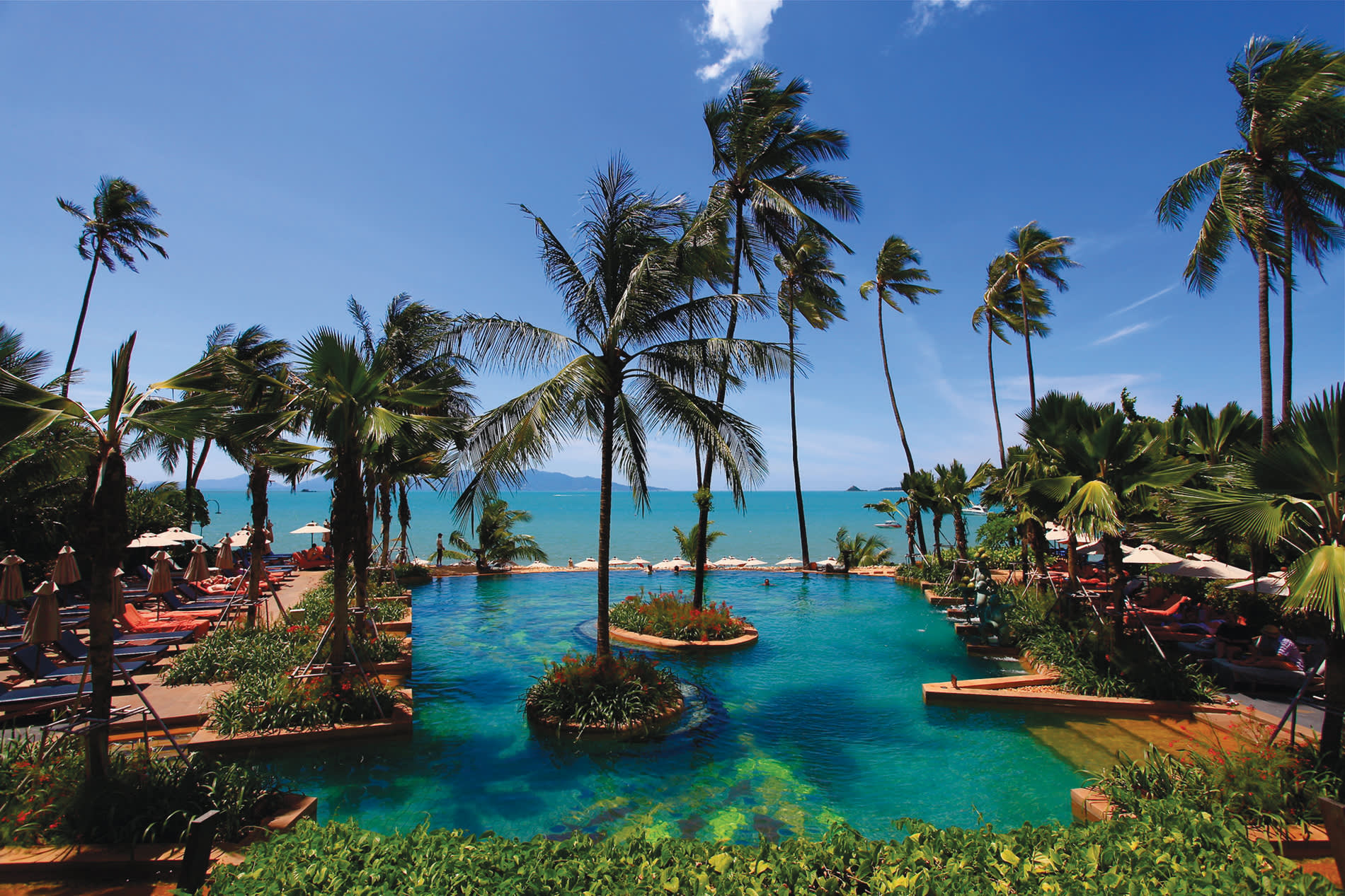 a group of palm trees next to a body of water