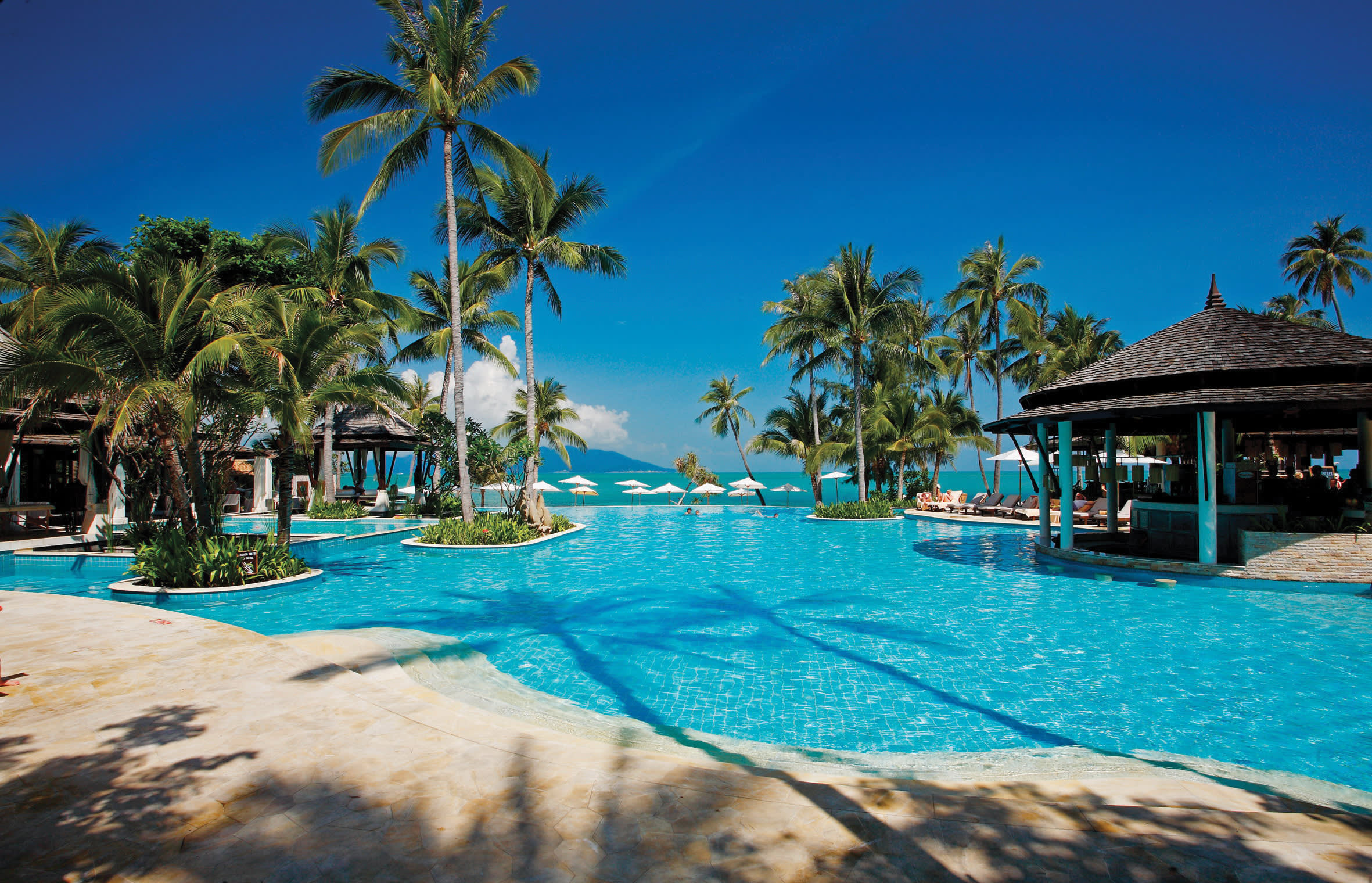 a group of palm trees next to a swimming pool