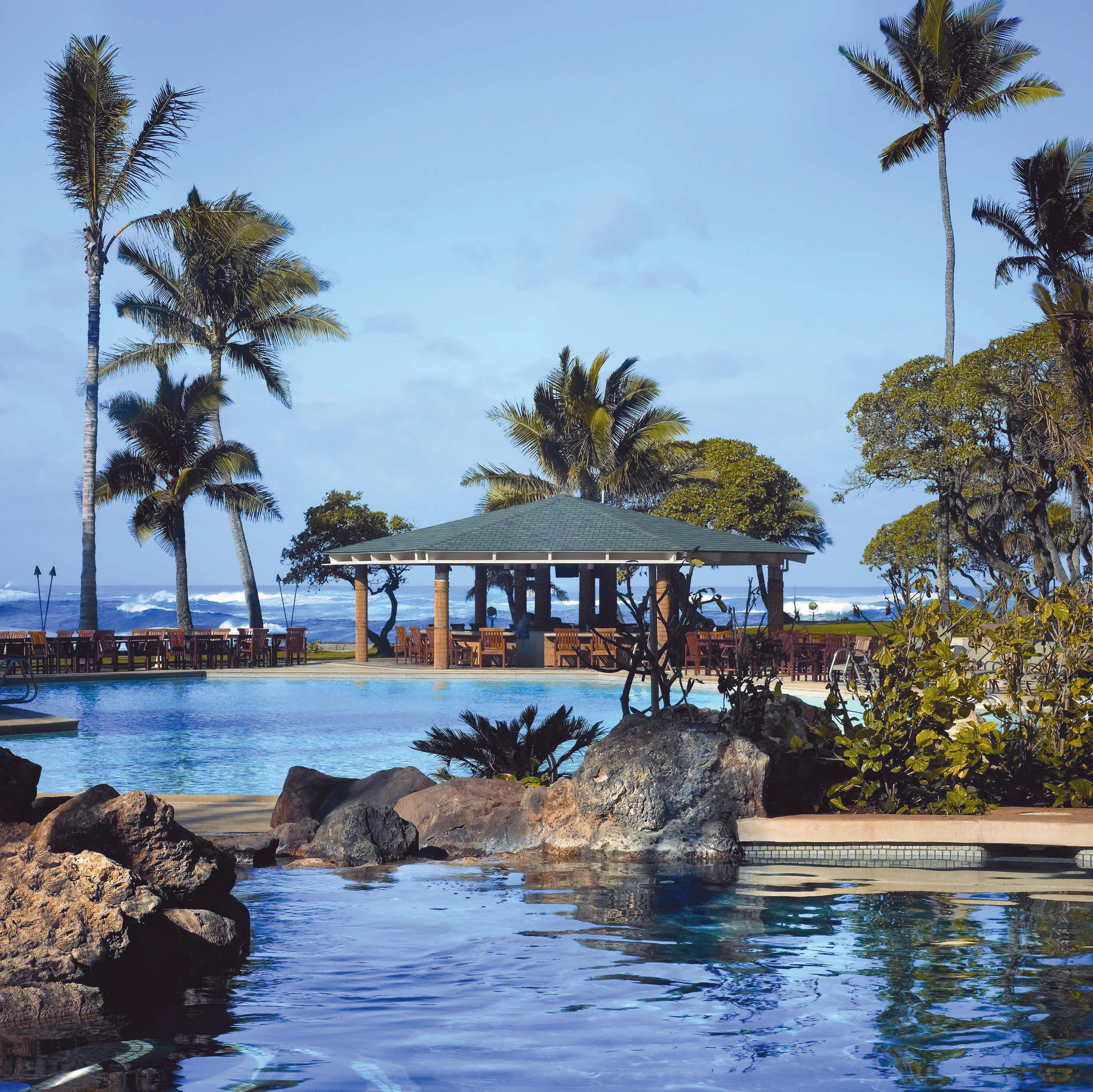 a flock of seagulls next to a body of water surrounded by palm trees