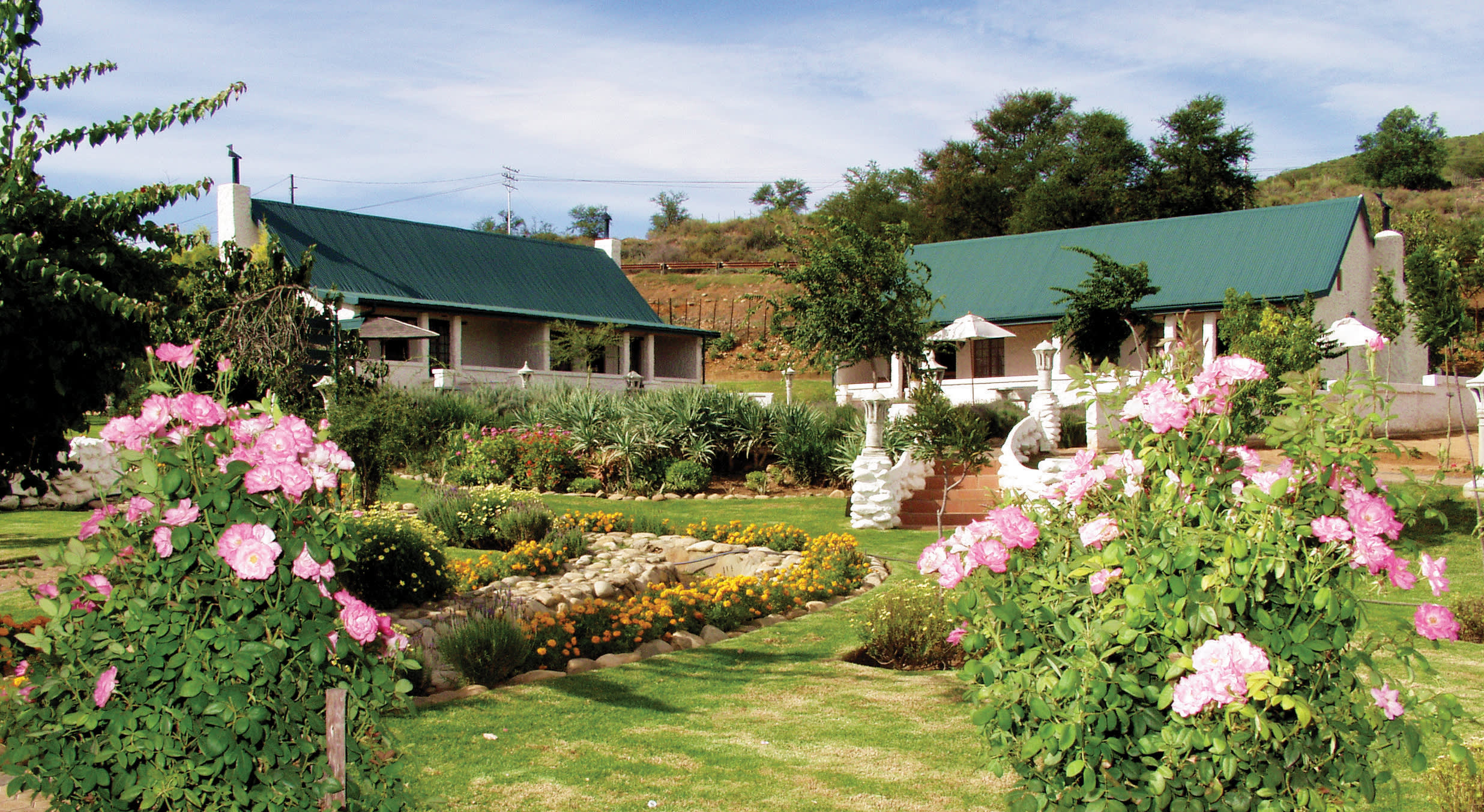 a close up of a flower garden in front of a house
