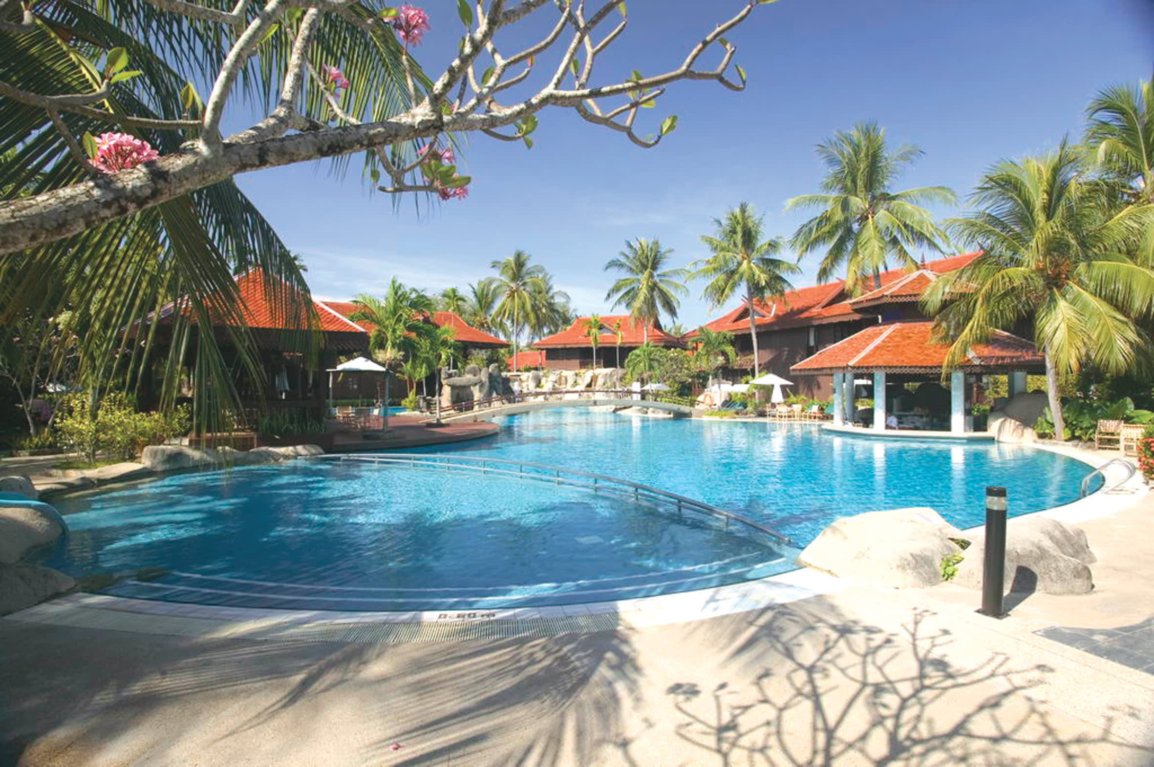 a group of palm trees next to a pool of water