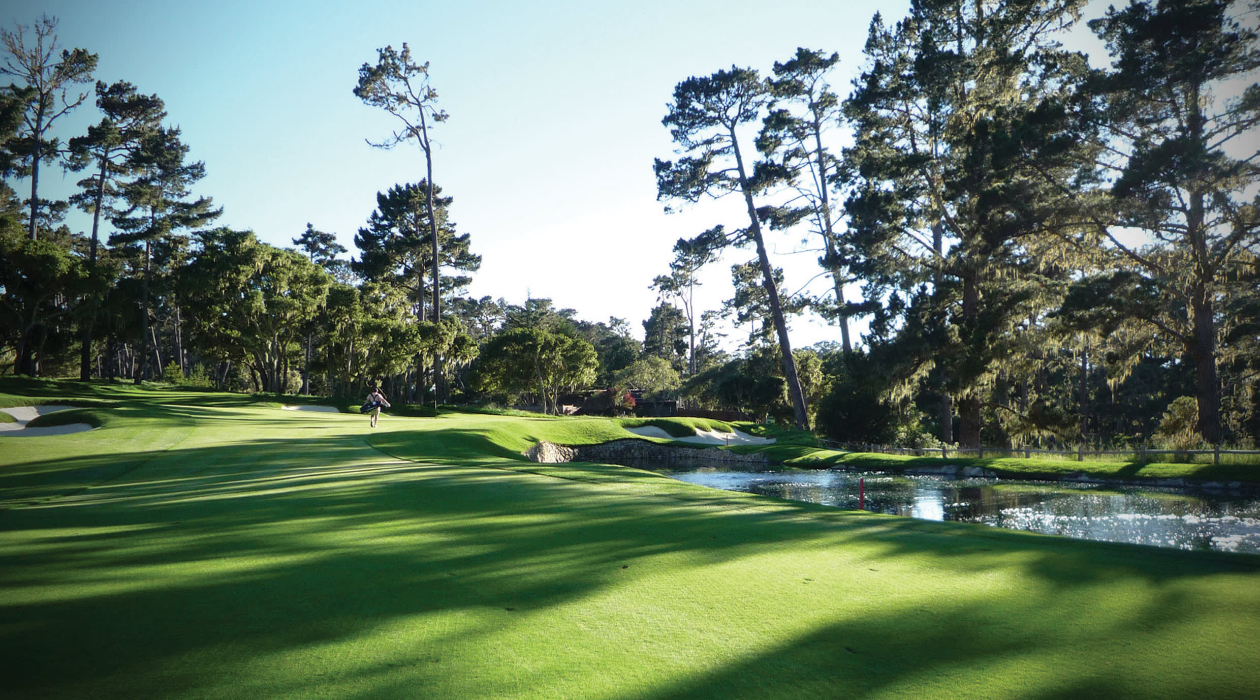 a tree next to a body of water with Augusta National Golf Club in the background