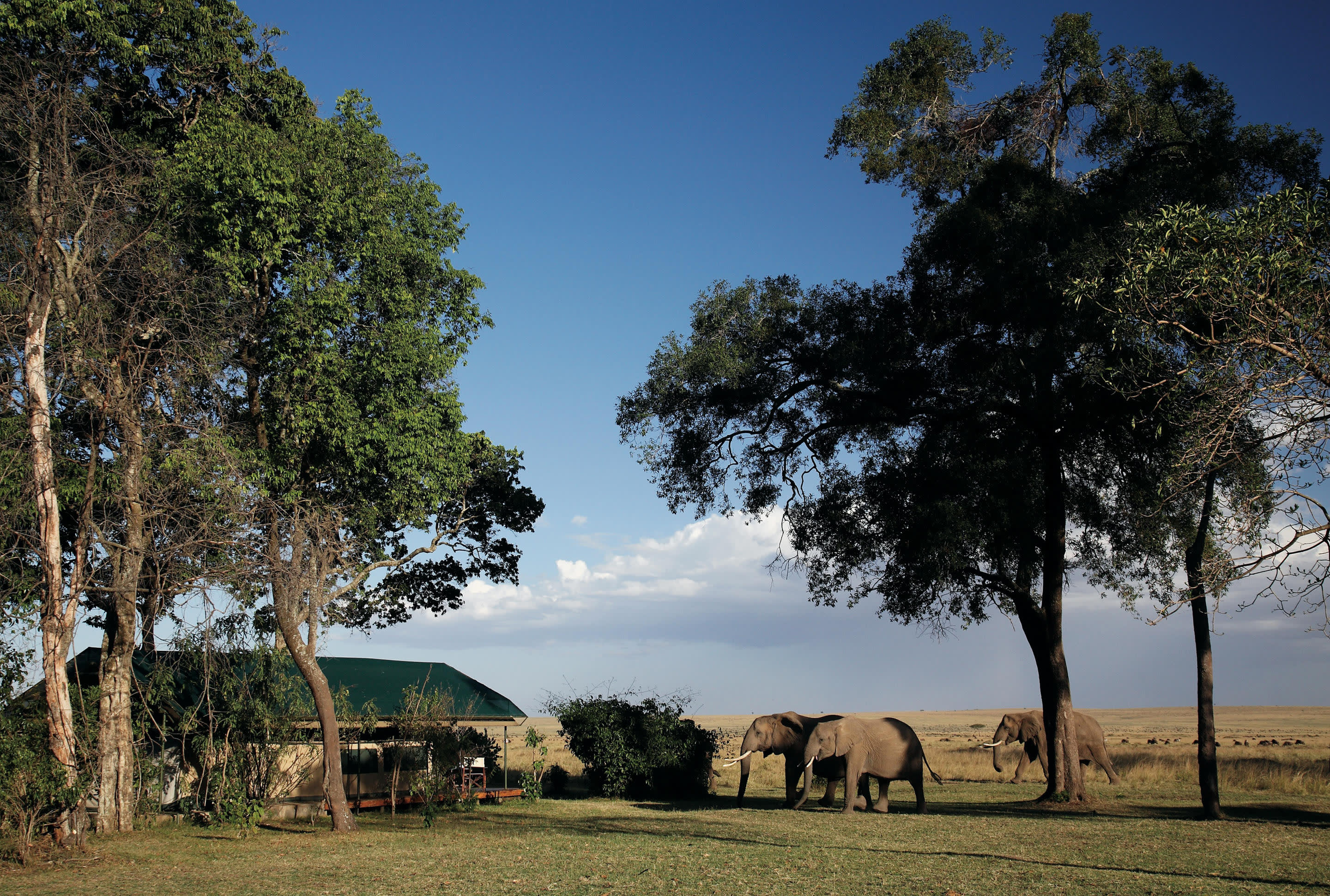 Governor's Main Camp