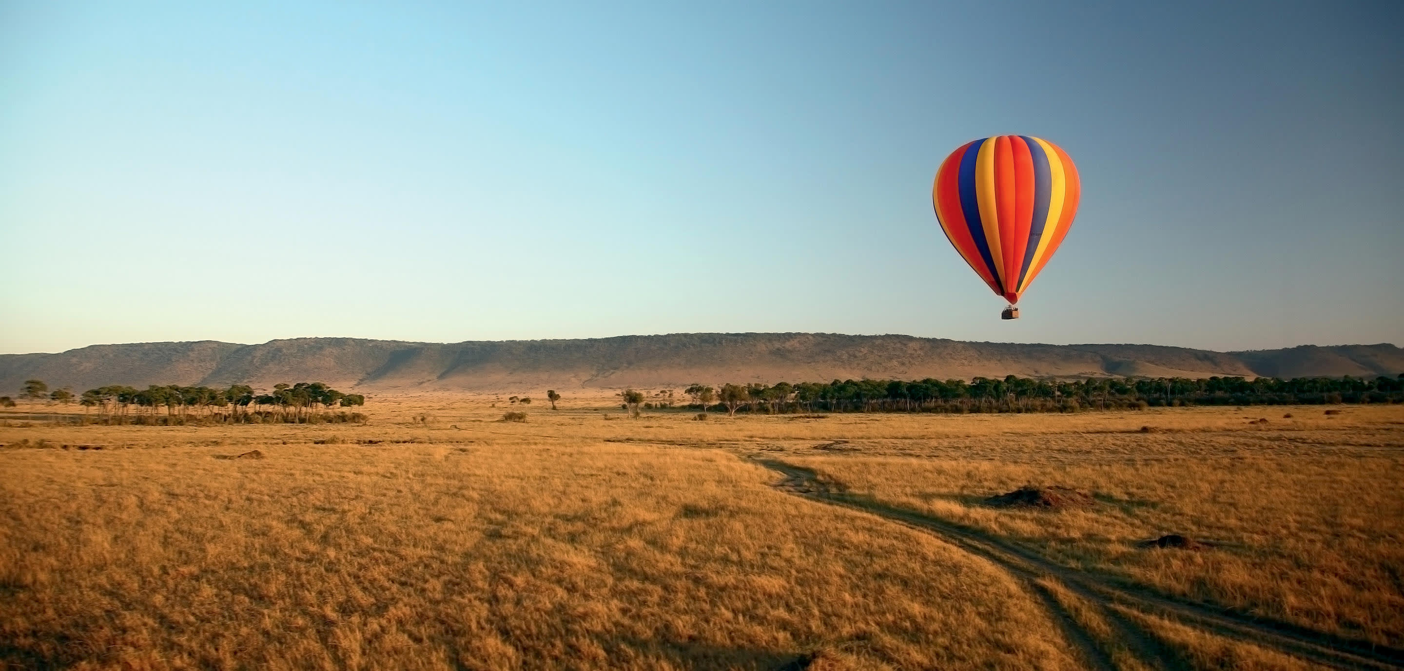 a person flying a kite in a field