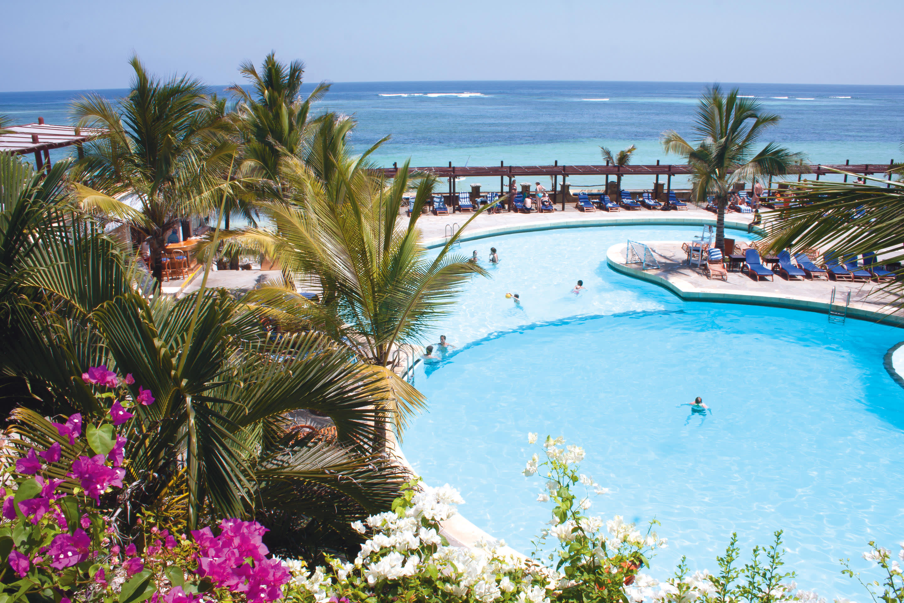 a group of palm trees next to a pool of water