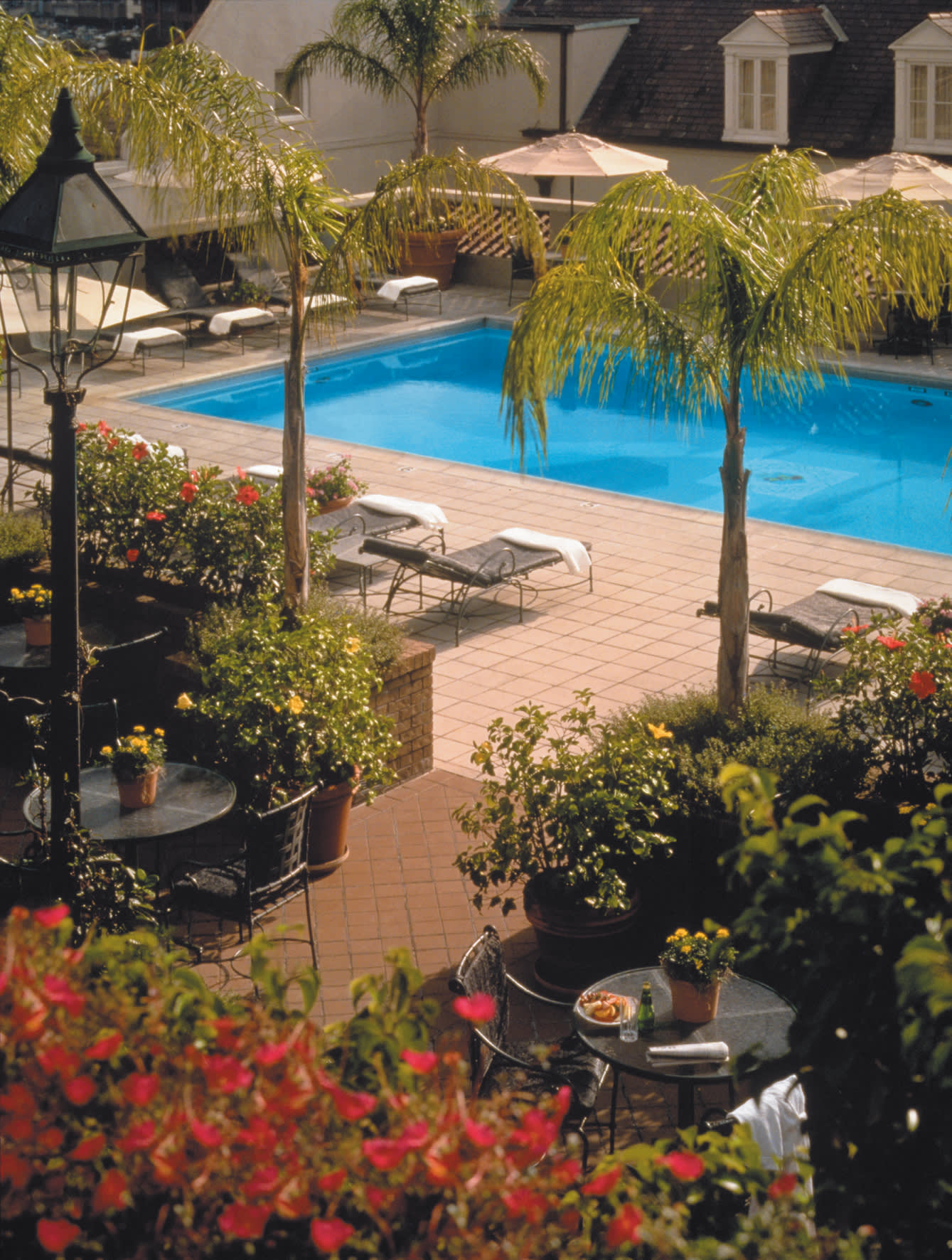 a close up of a flower garden