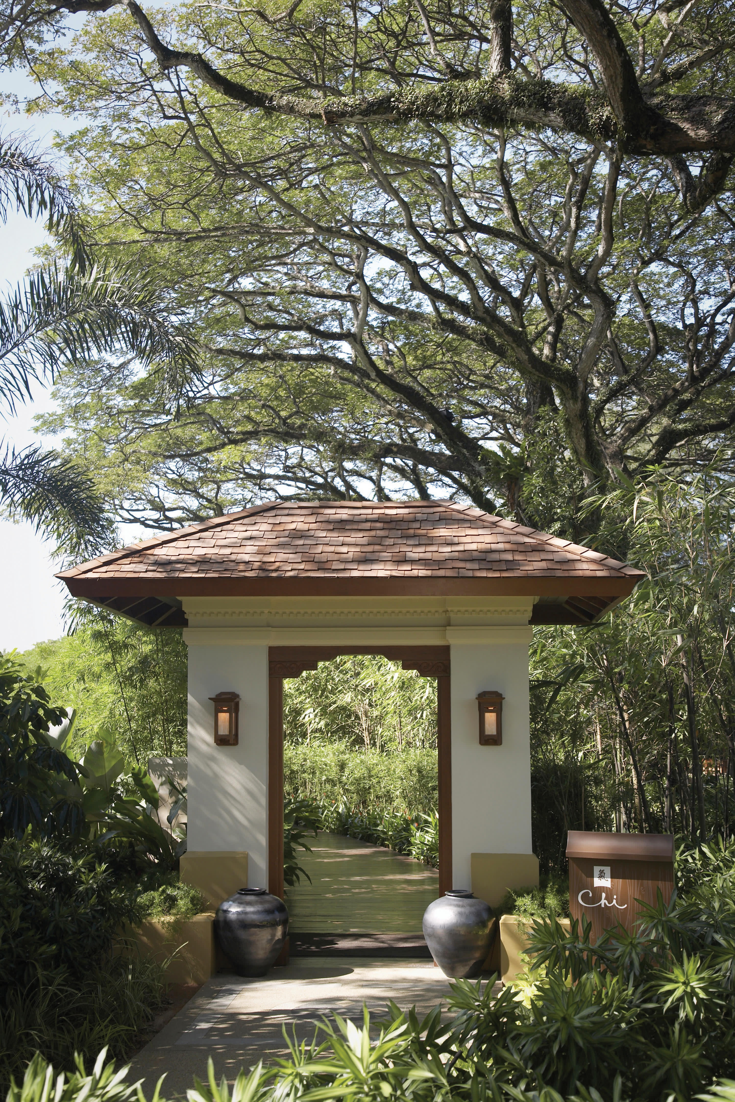 a tree in front of a house