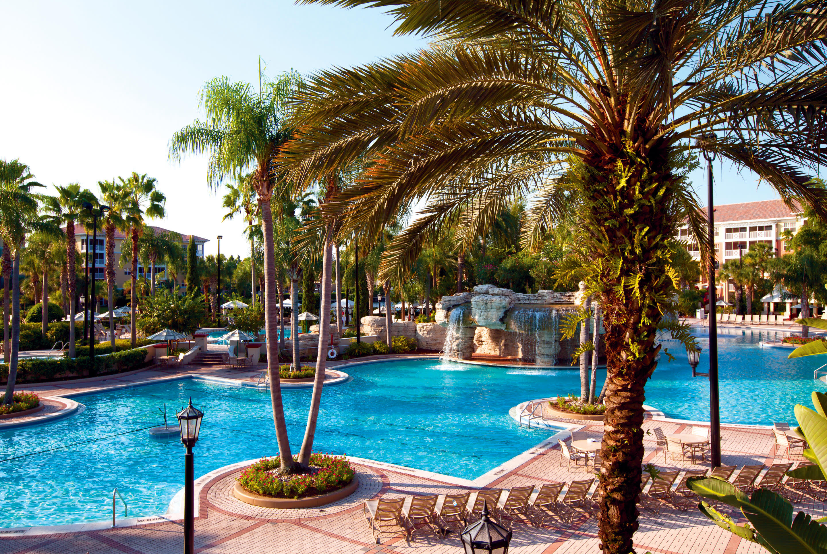 a pool next to a palm tree in front of a body of water