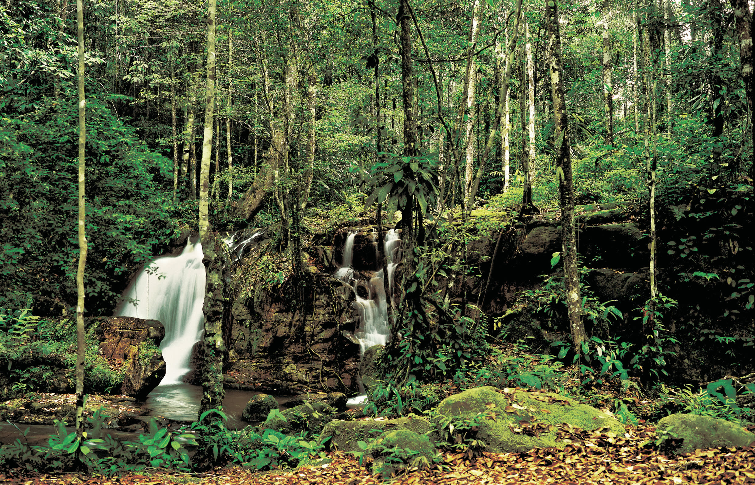 a waterfall in a forest