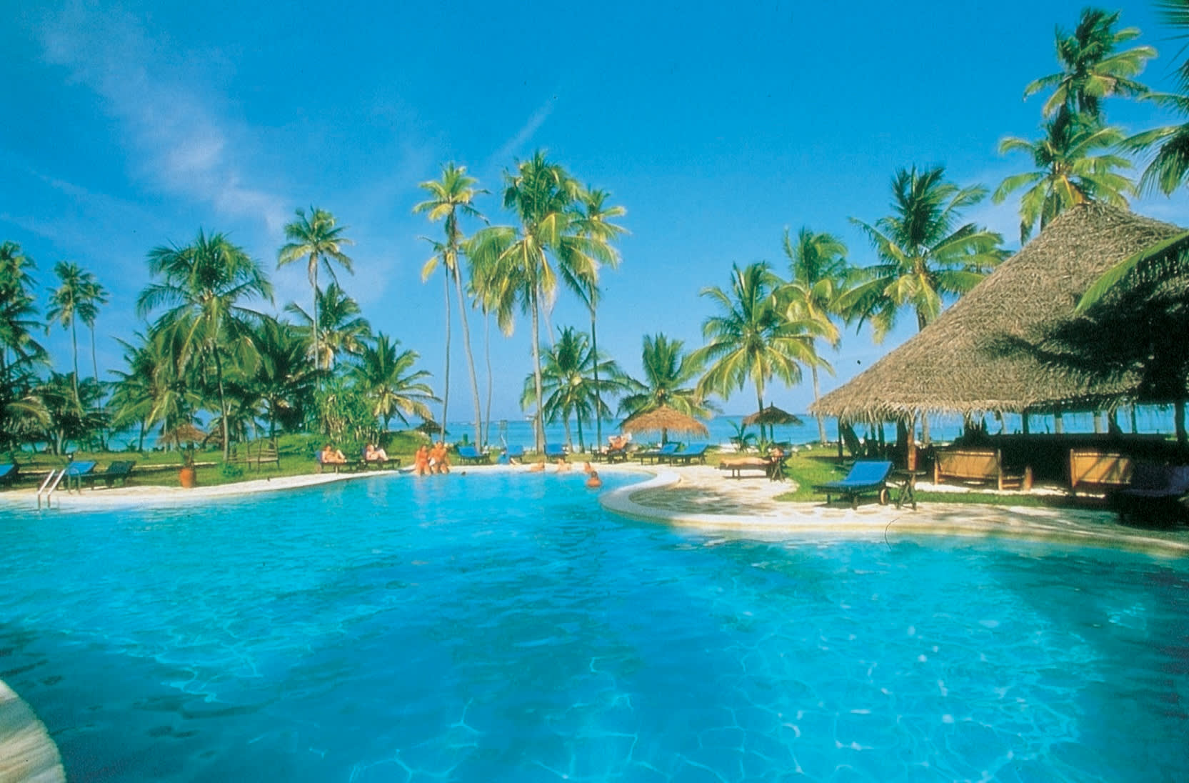 a group of people swimming in a pool of water
