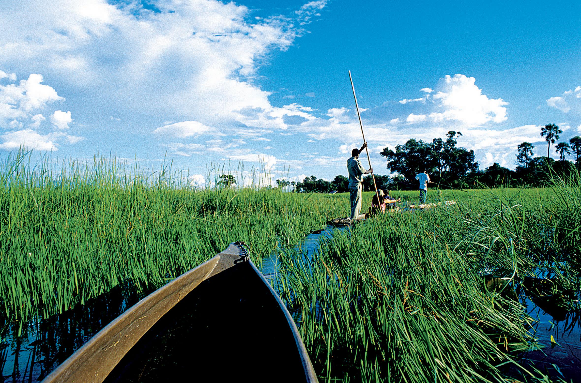 a group of people in a park
