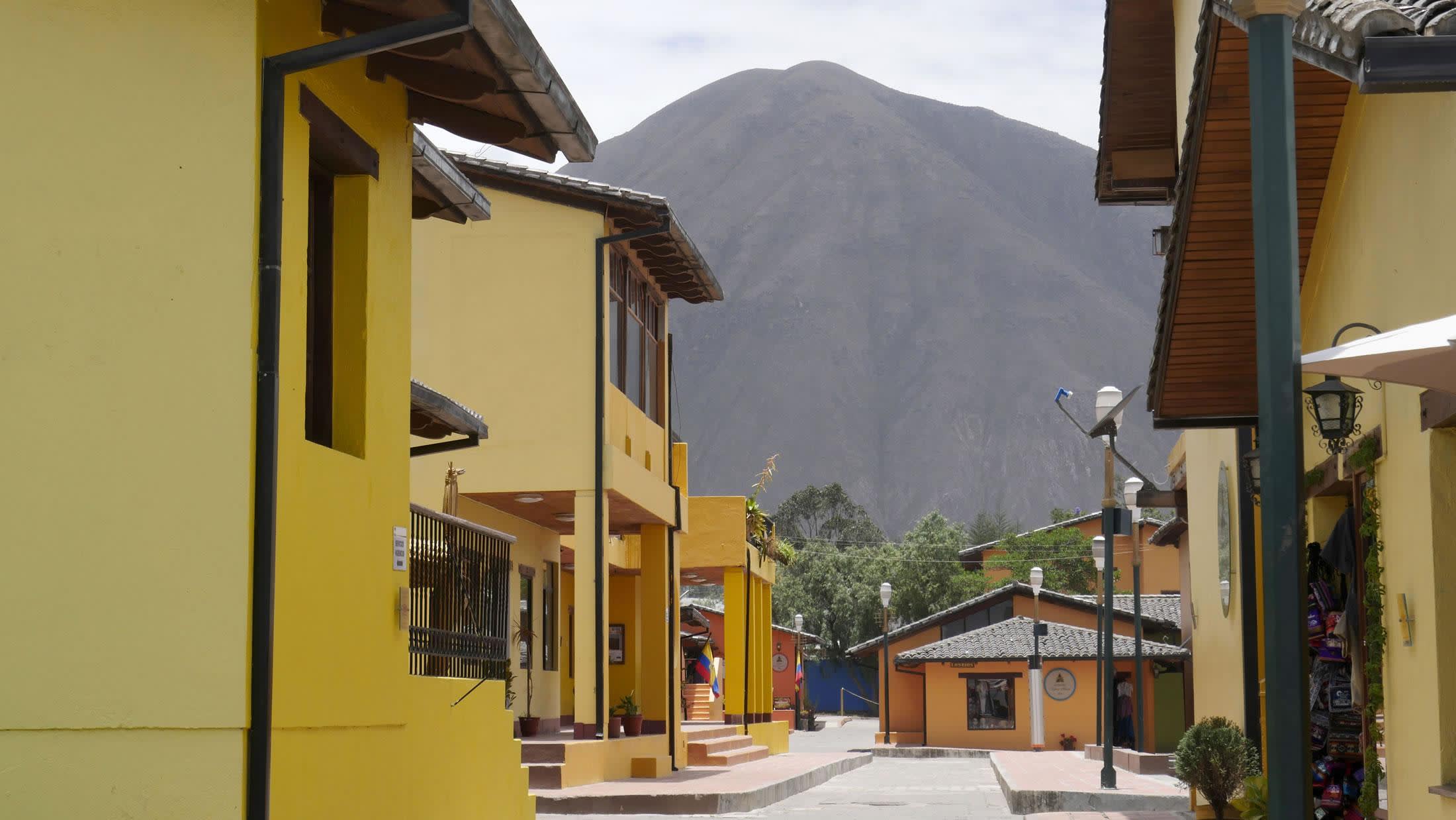 a yellow house in the background
