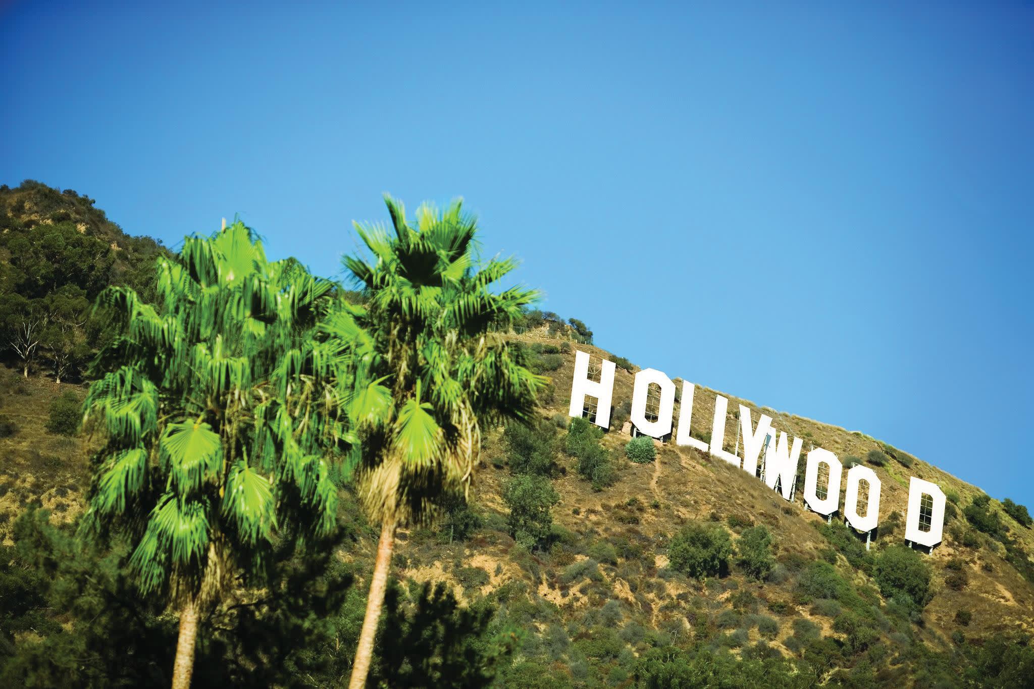 a sign in front of a tree with Hollywood Sign in the background