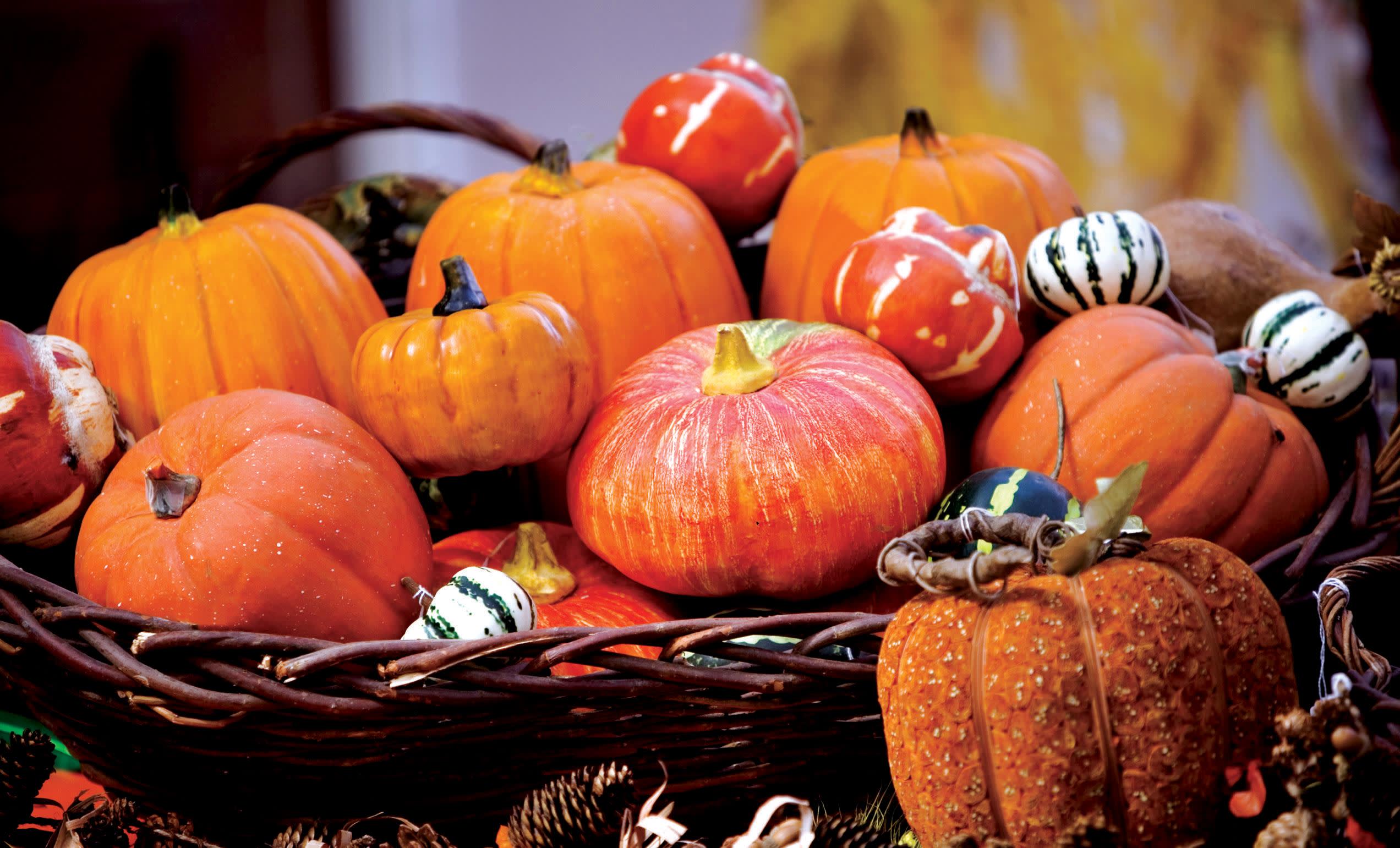 a group of oranges on a table