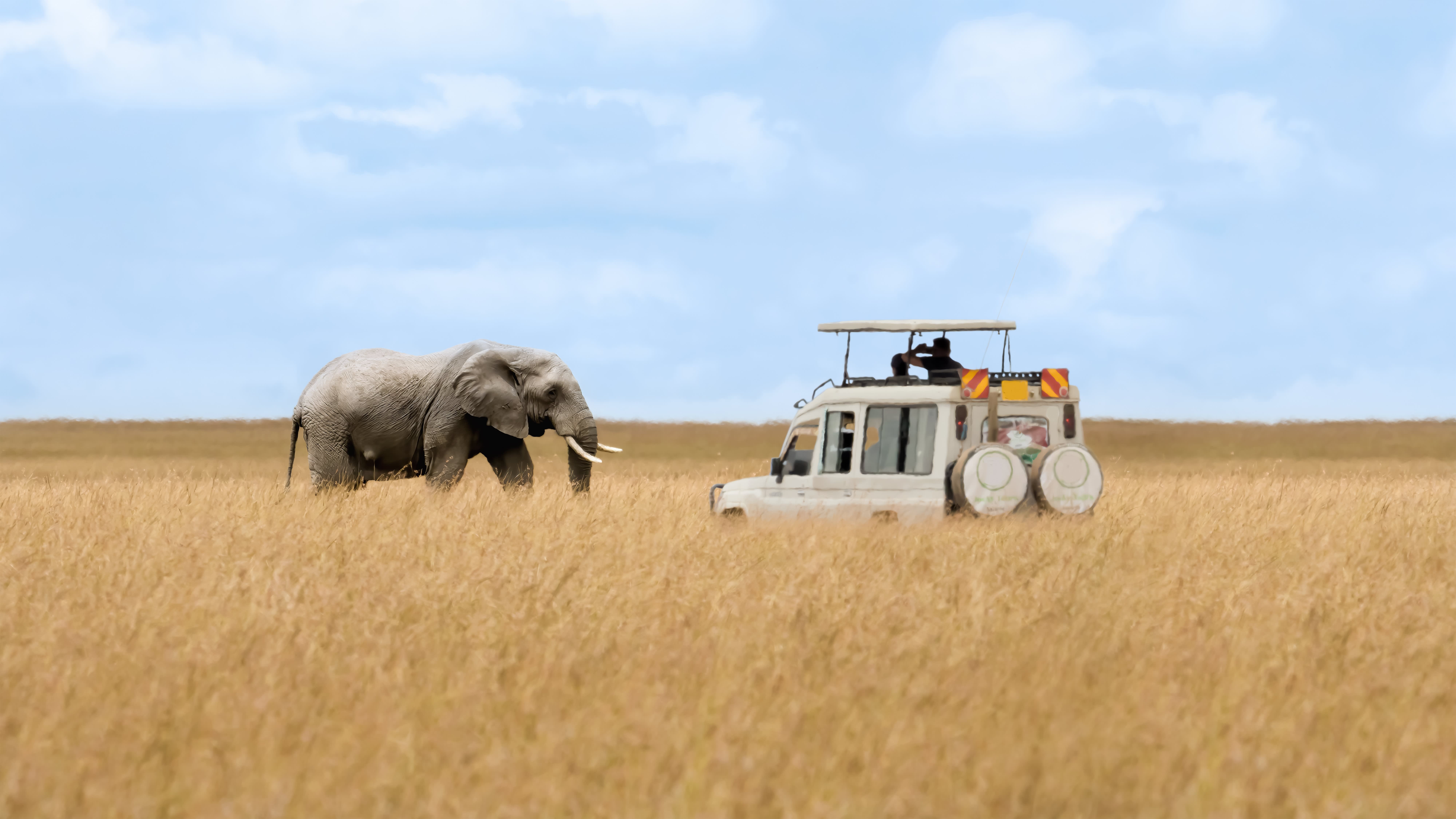 Luxury Safari Holidays