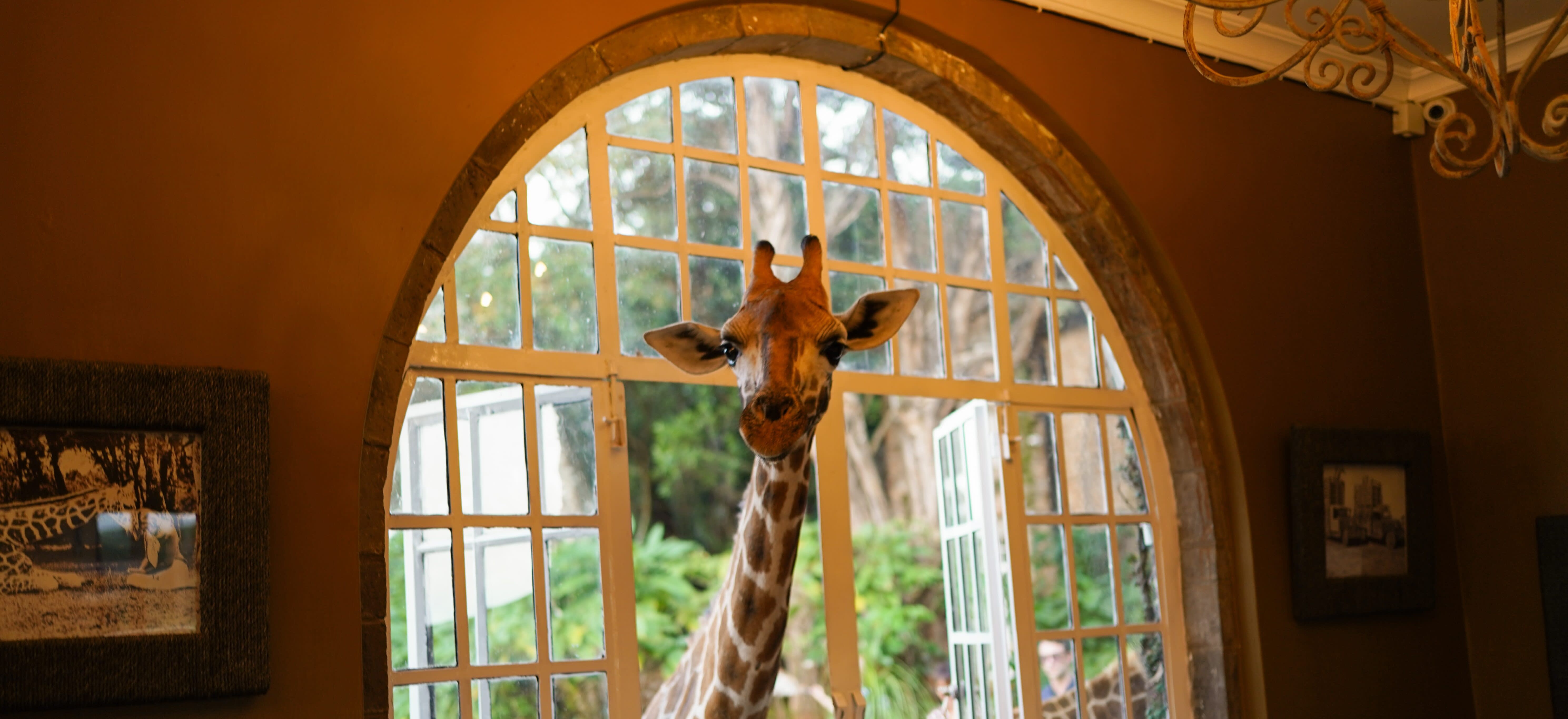 Giraffe Manor in Kenya is a trip you must book early