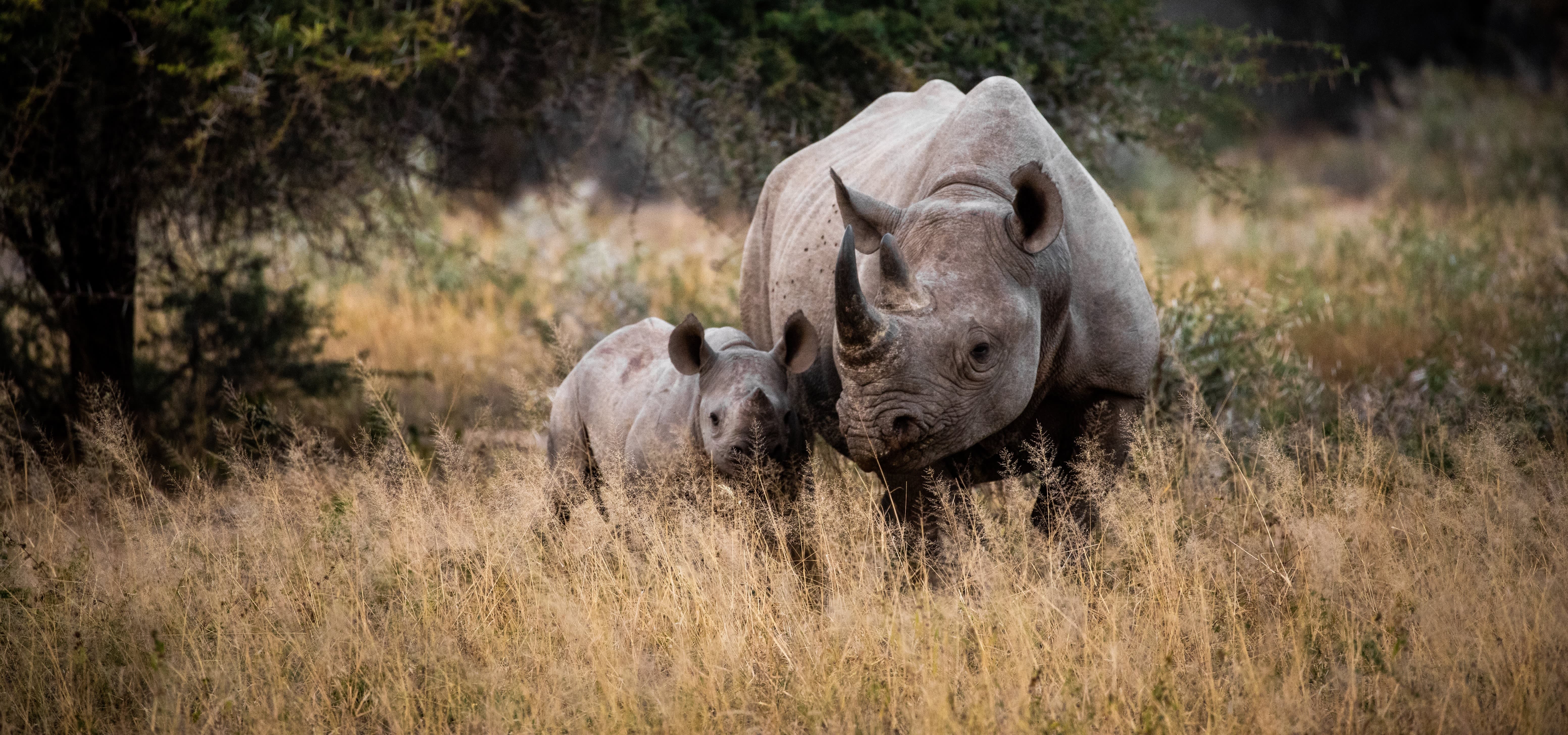 Responsible Travel Hayes & Jarvis