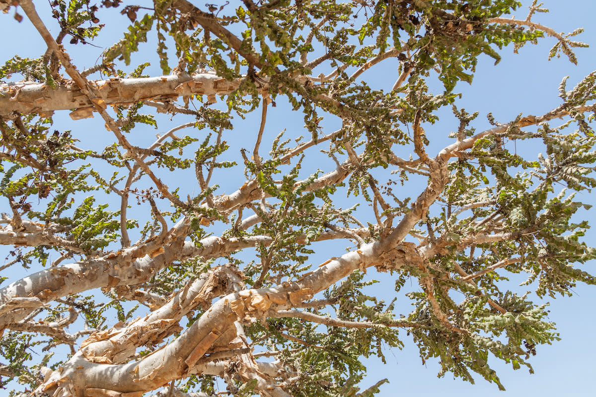 Why Visit Costa Rica?