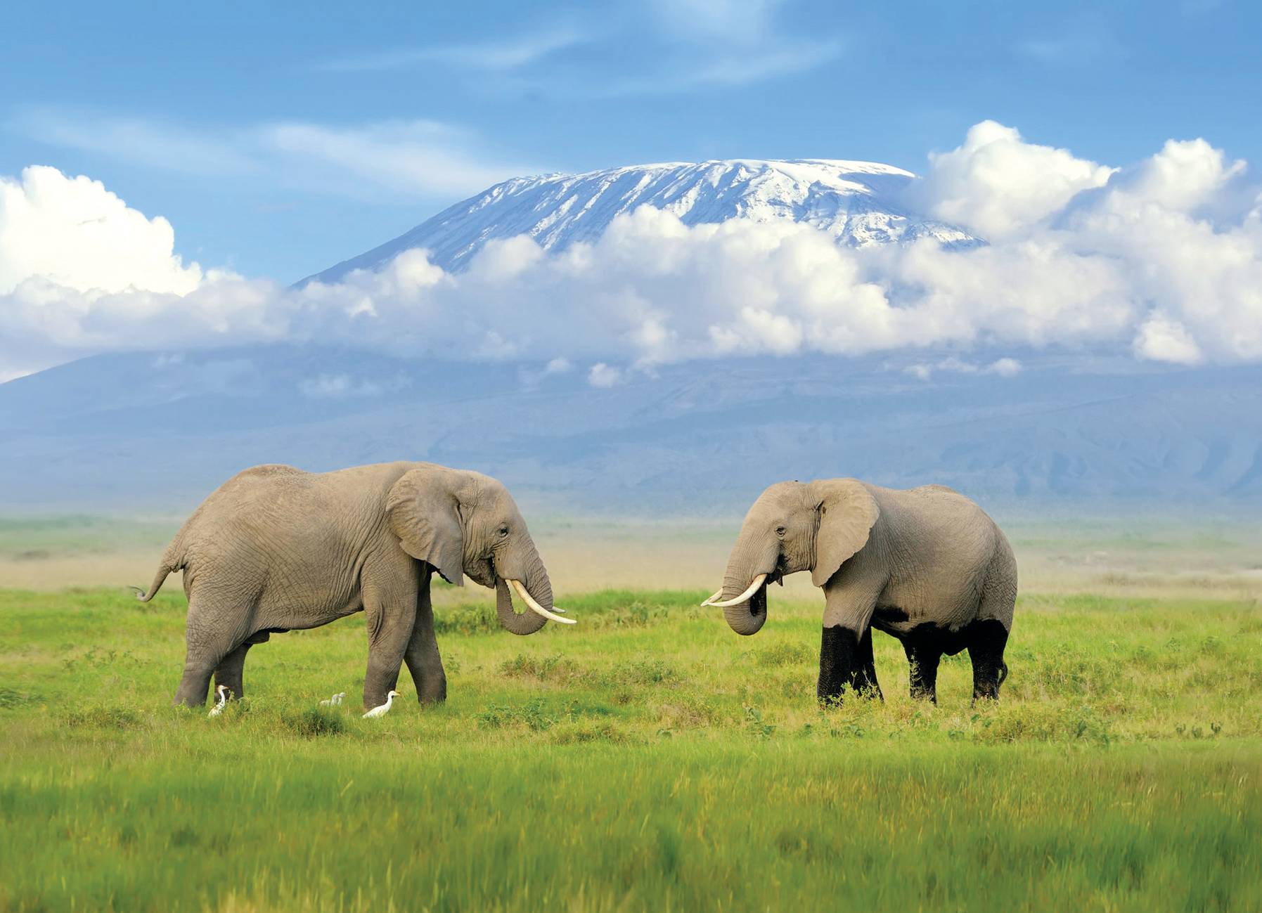 Where to go on holiday in June