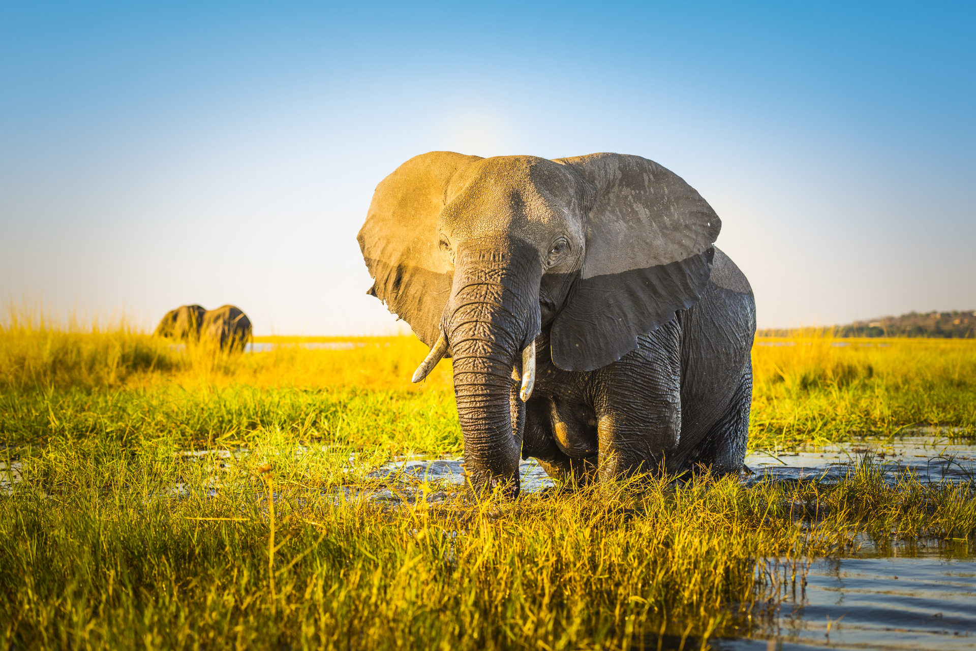 Best Time To Visit Botswana