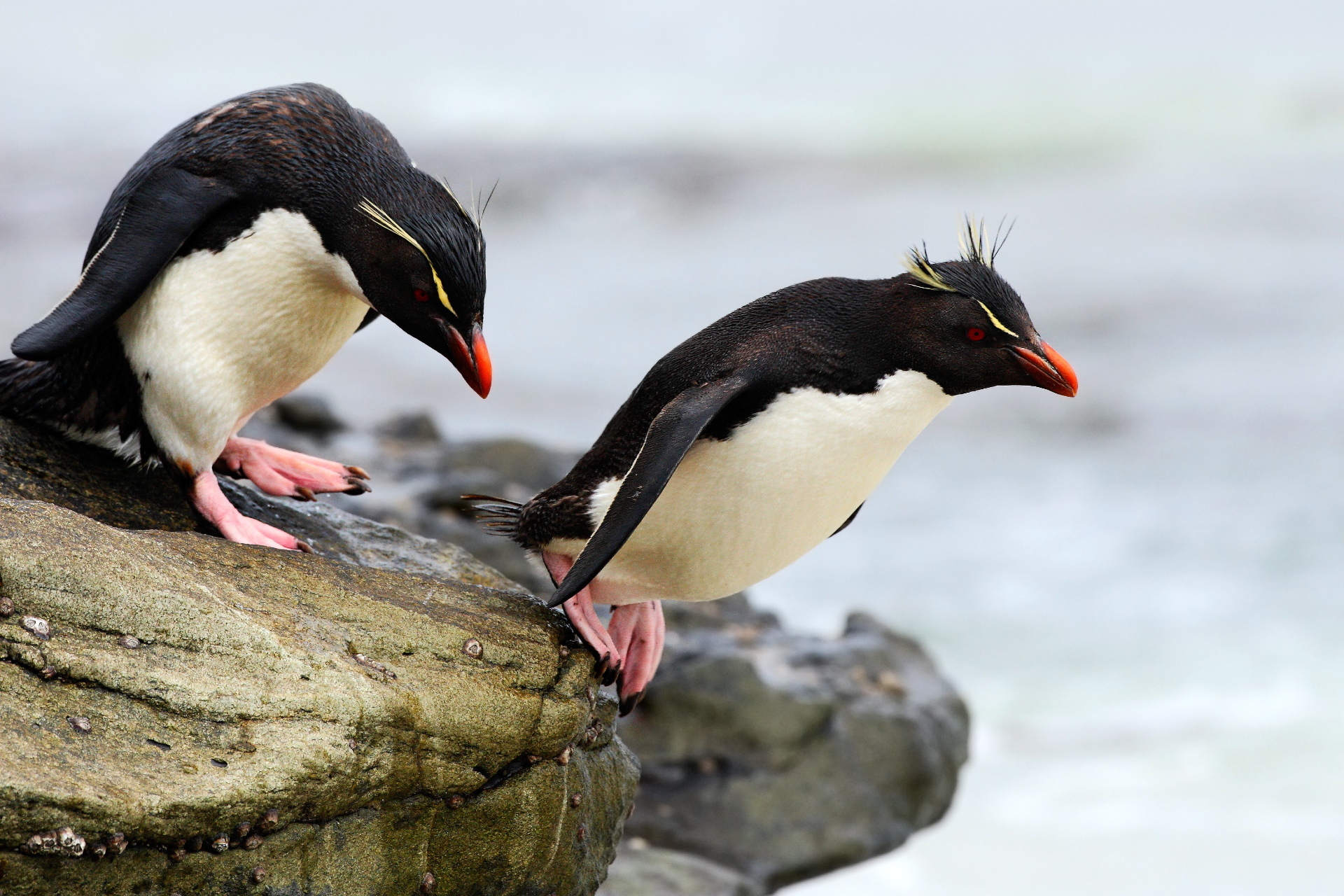 The 5 Most Beautiful Hotels to Beat the Winter Blues