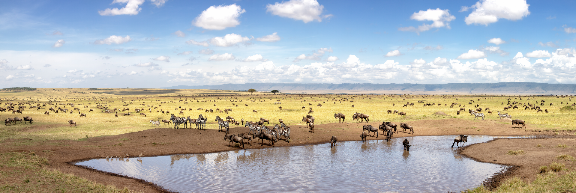 Kenya Luxury Tours