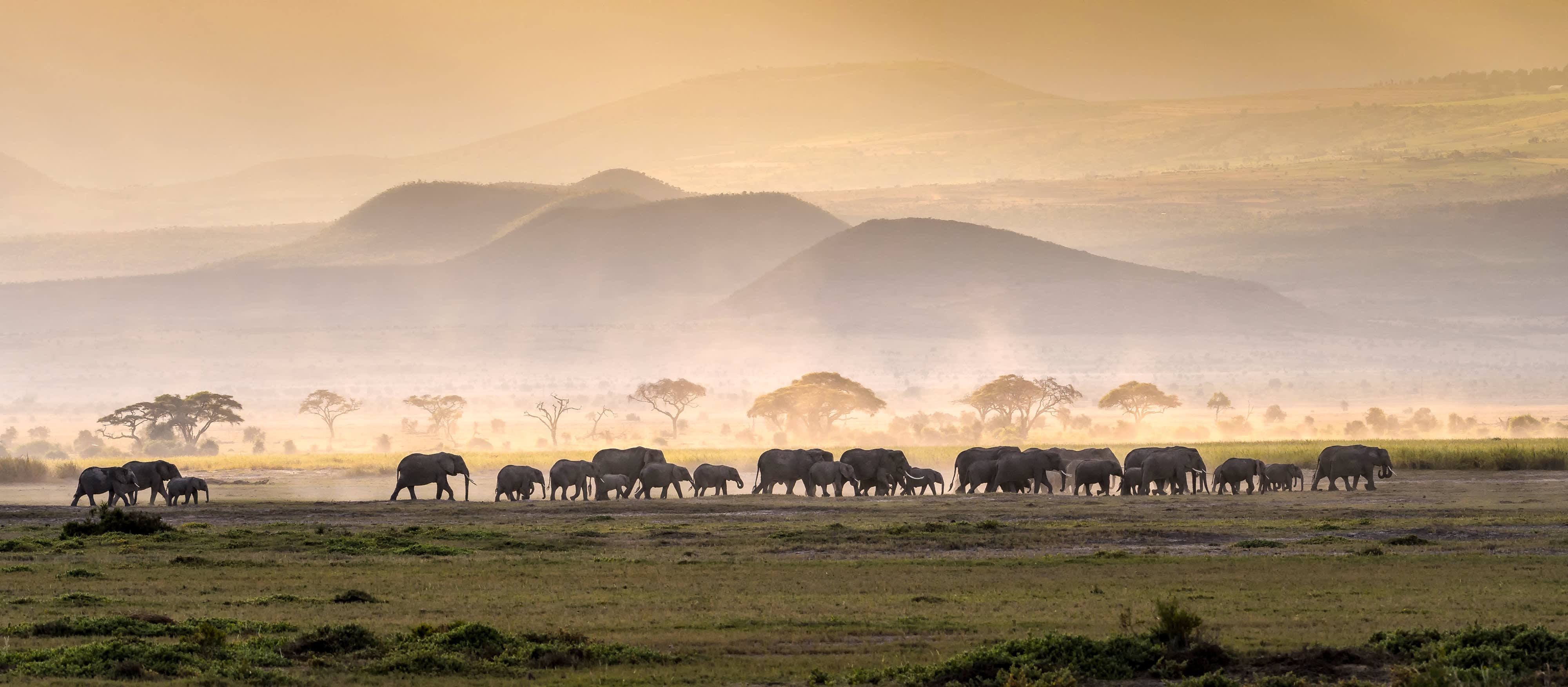 Best time to visit Tanzania, Sightseeing Tanzania, Hayes & Jarvis