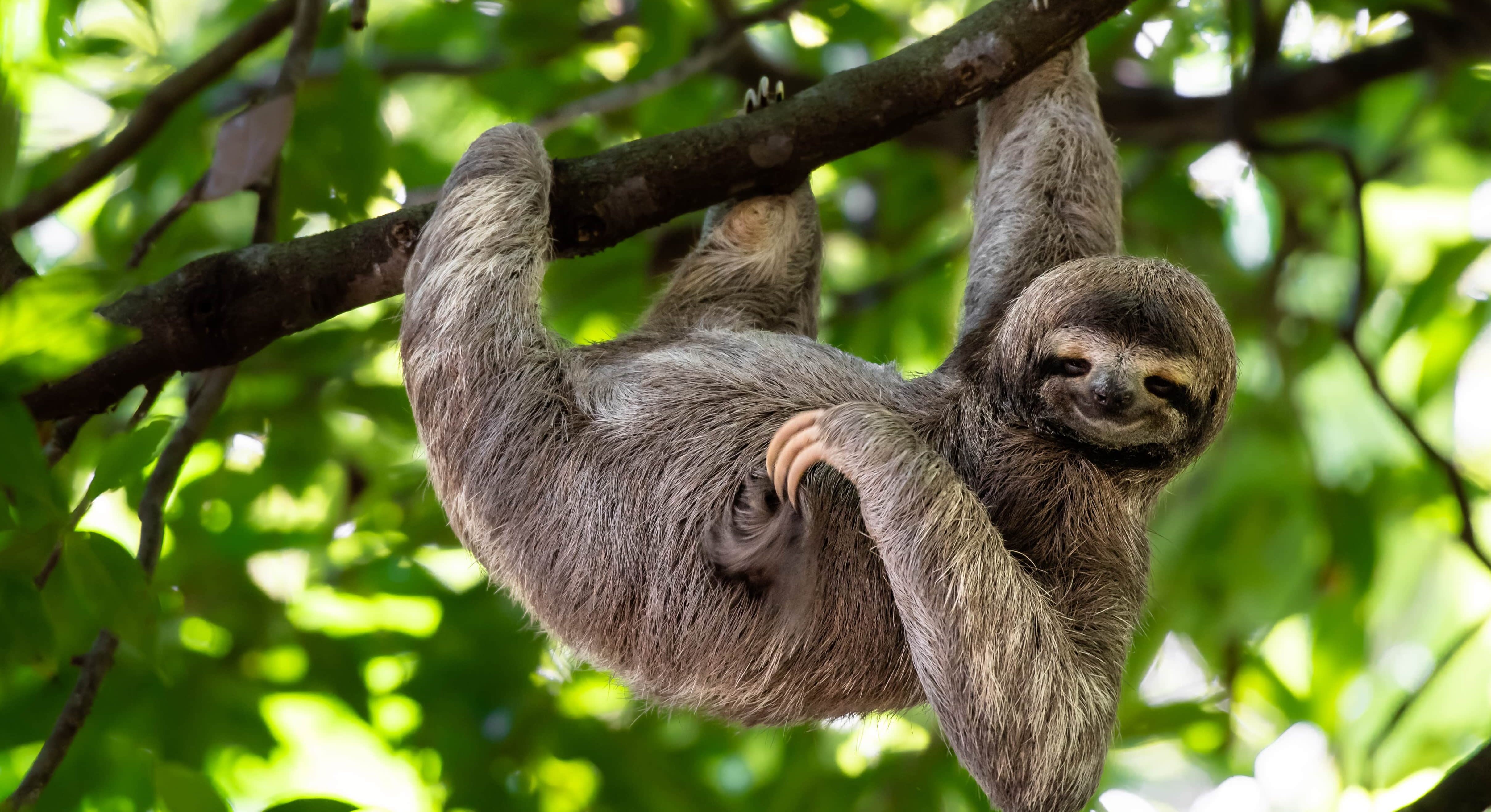 Top things to do in Costa Rica, Best places to visit, Hayes & Jarvis