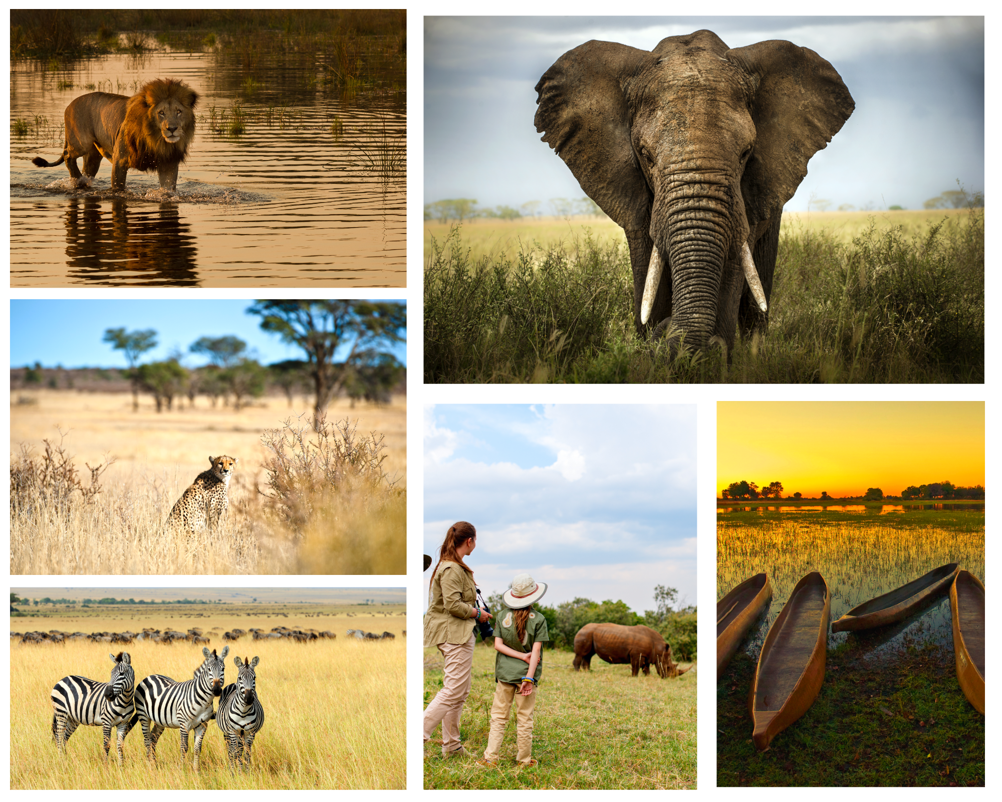 Luxury Botswana Safari Holidays