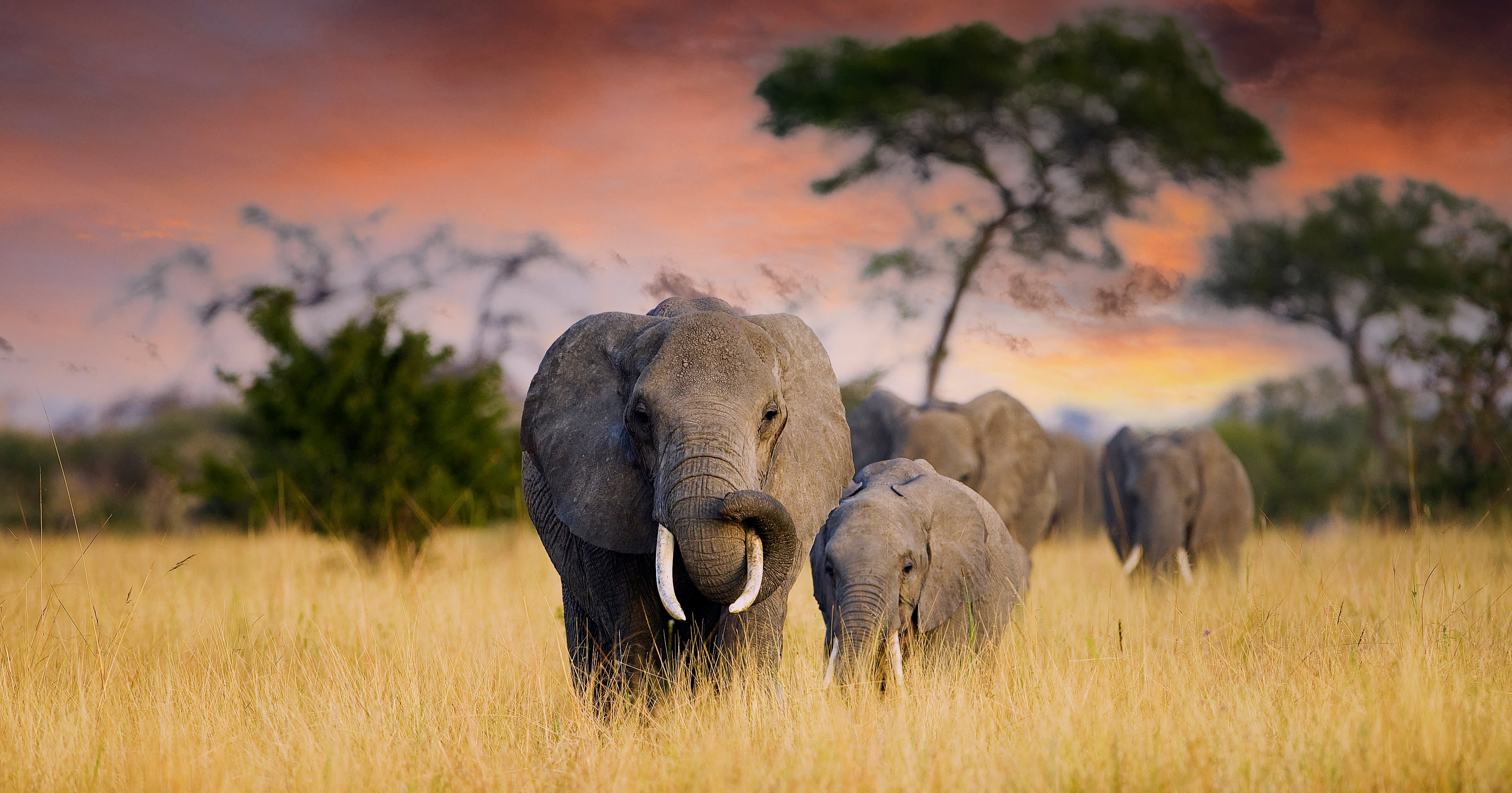 Tanzania