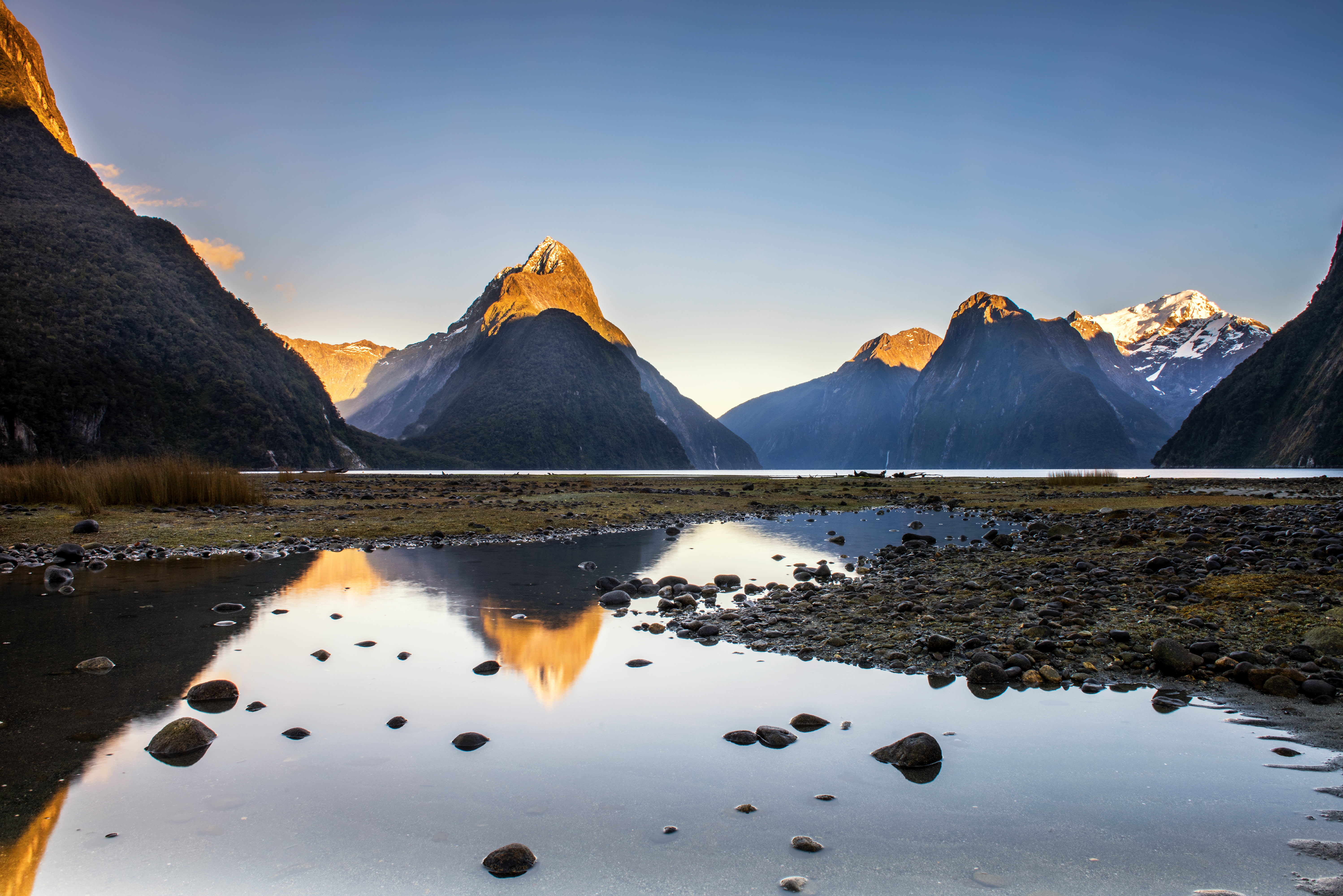 Fiordland