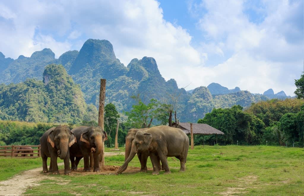 Luxury All Inclusive Hotels Thailand