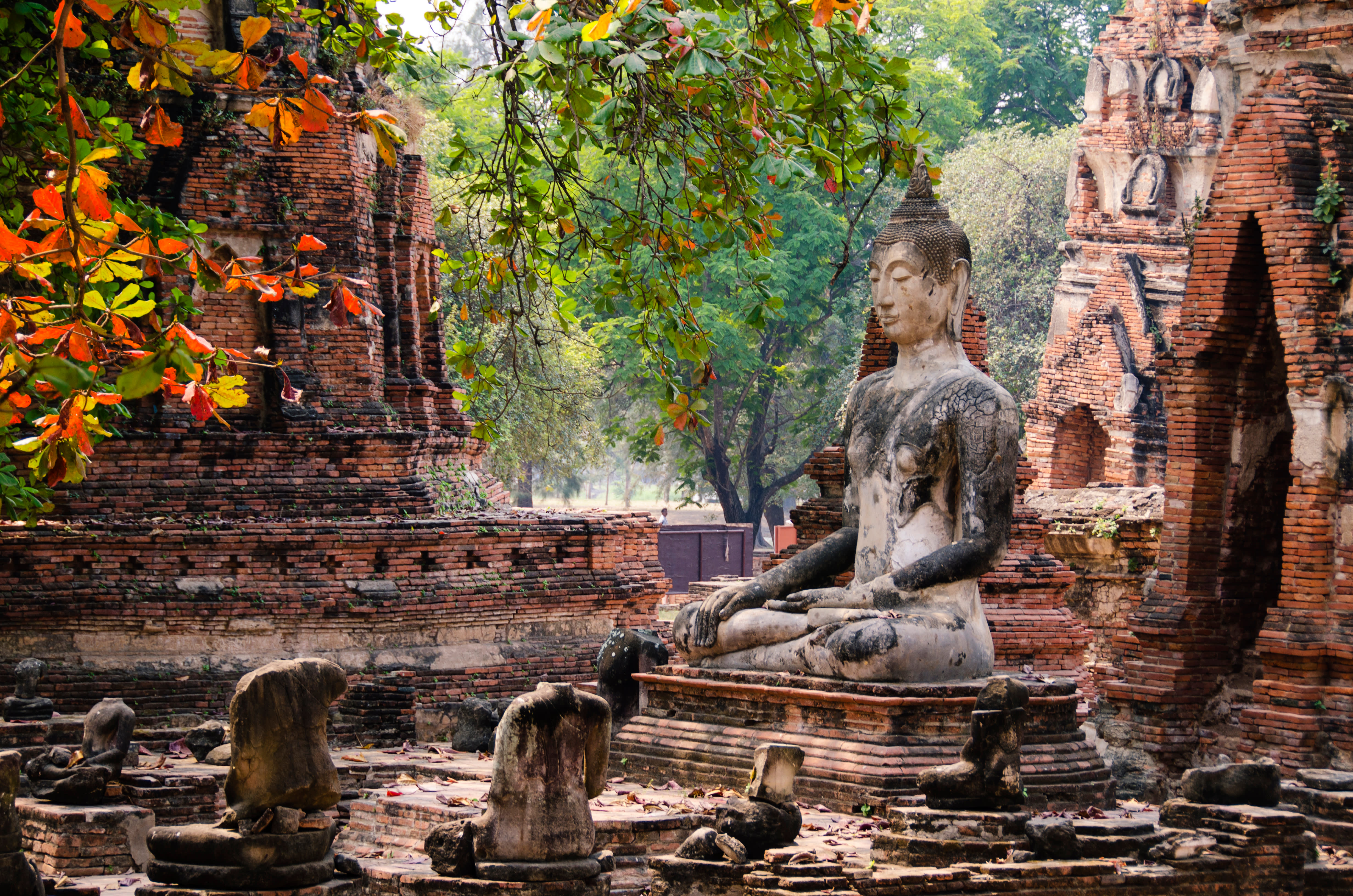 The Top 12 Things to Do in Thailand