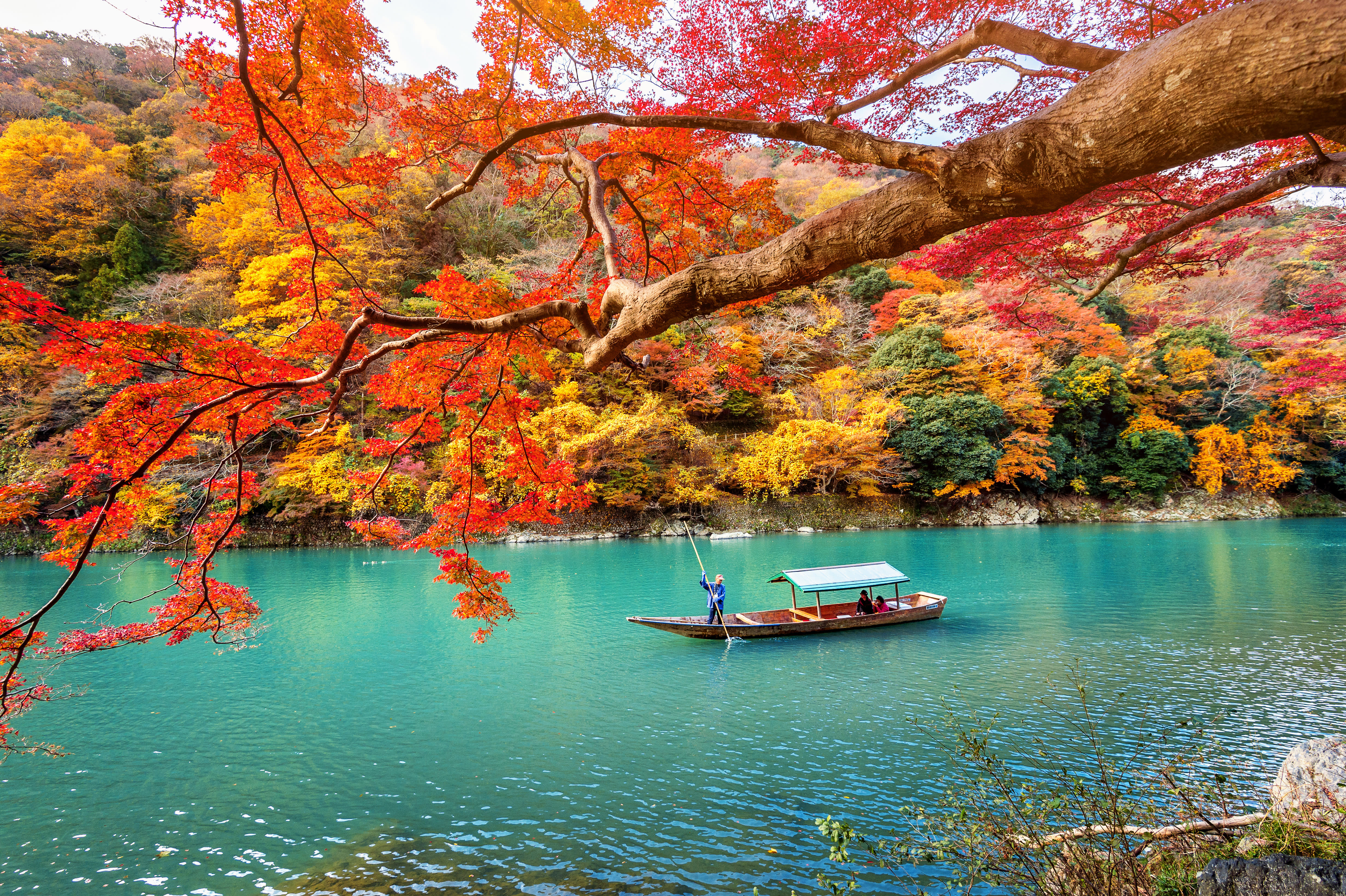 🍂Fall🍂 in Love with Japan