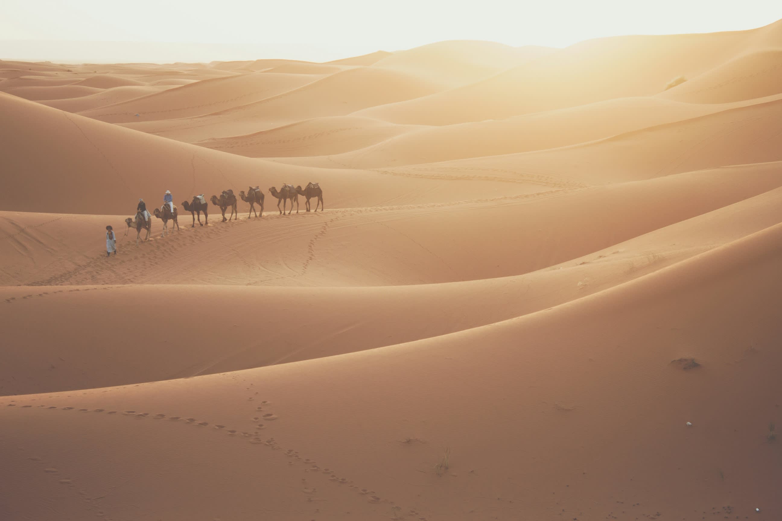 Camel caravan with riders and a guide walking across golden sand dunes in Merzouga, Morocco, at sunset.