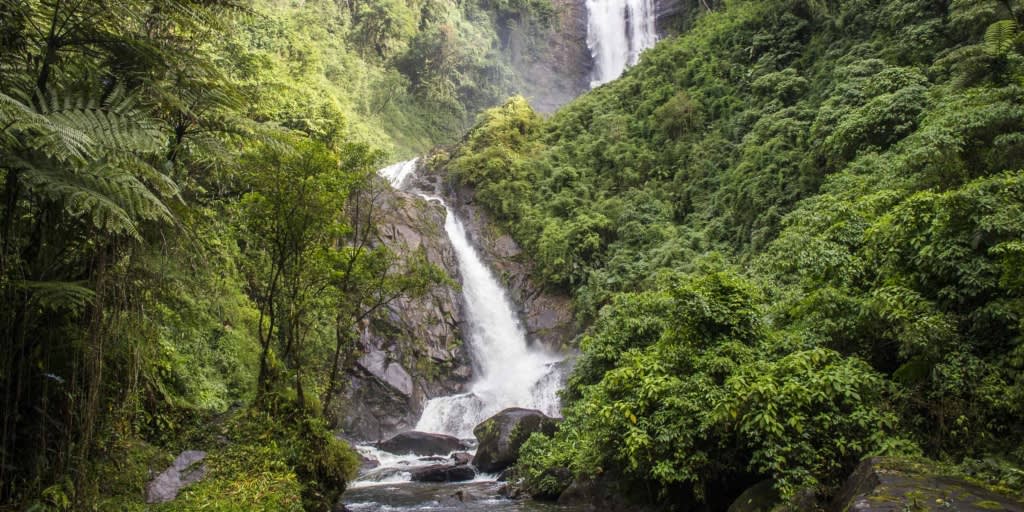 Deer Waterfall