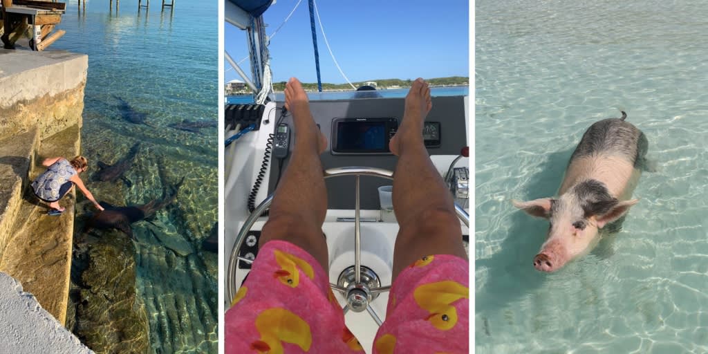 Meet swimming pigs and nurse sharks on Staniel Cay