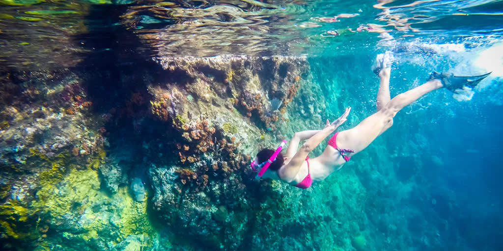 Caribbean Snorkeling