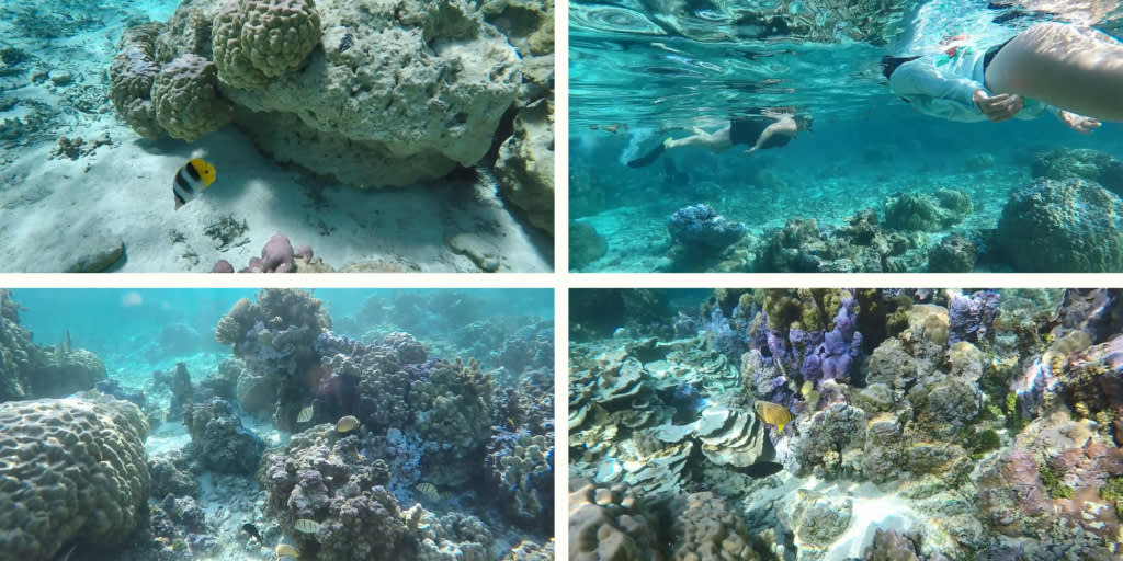 Tahiti snorkeling